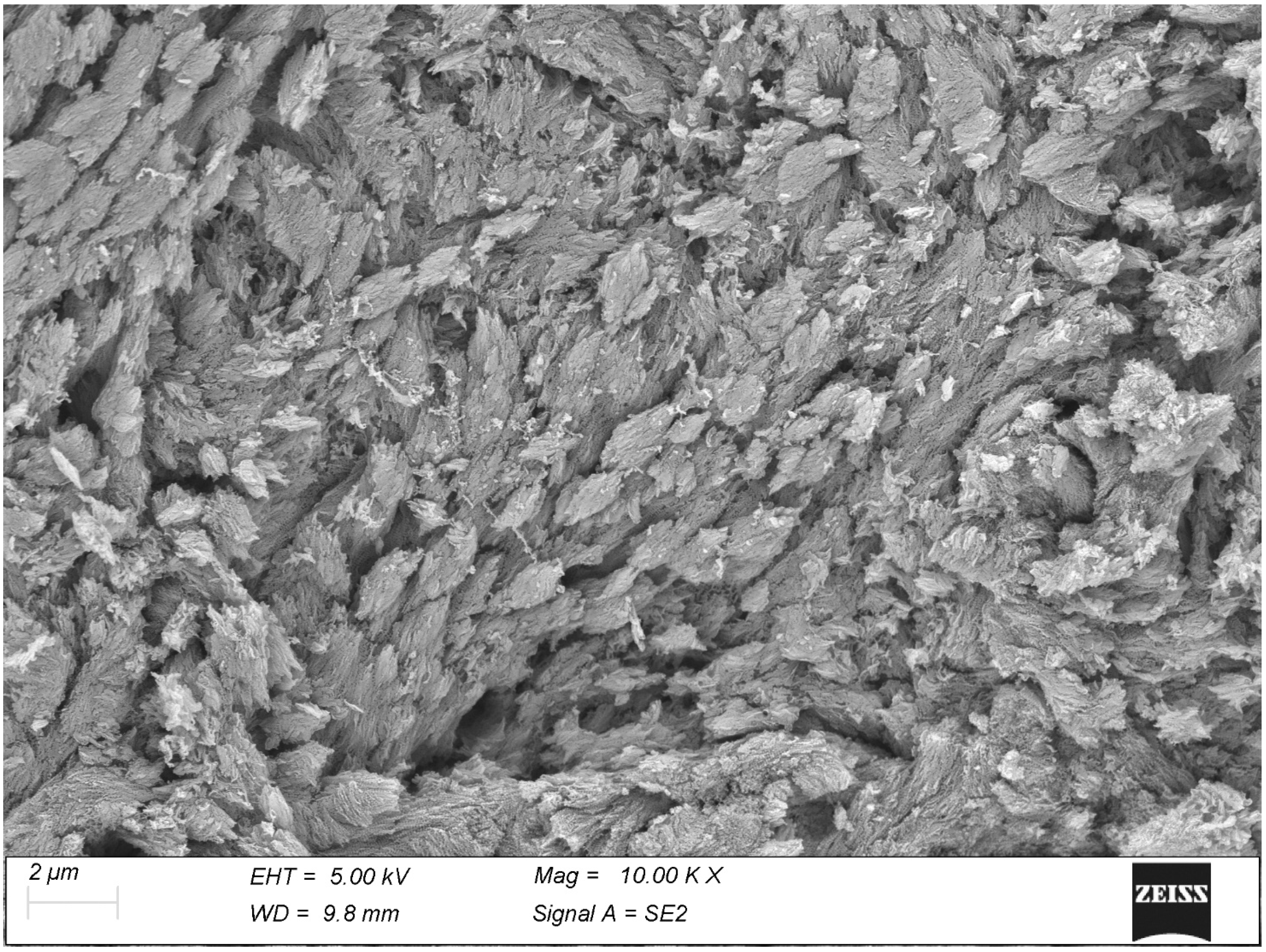 Biomolecules 15 00932 g002