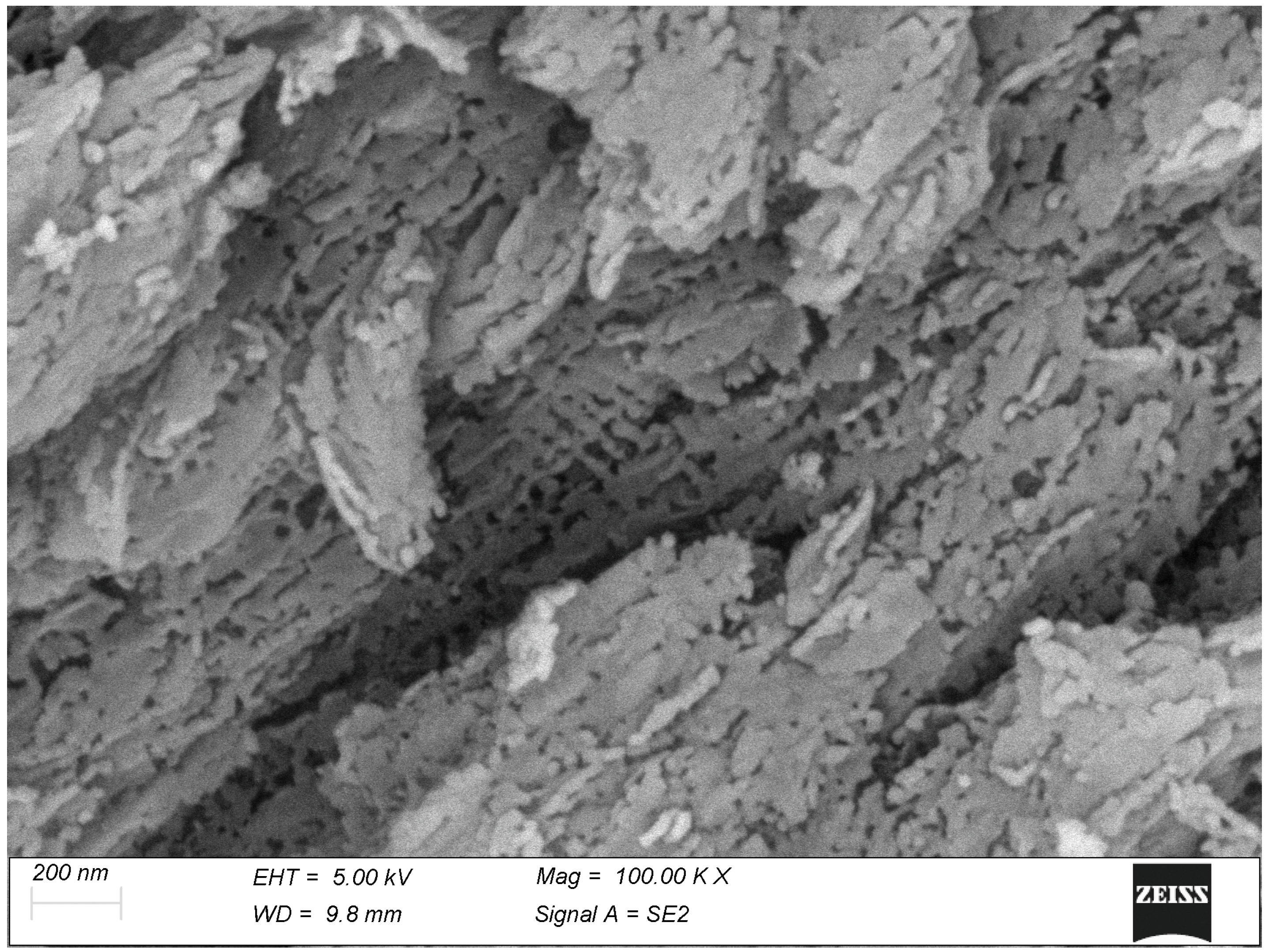 Biomolecules 15 00932 g003