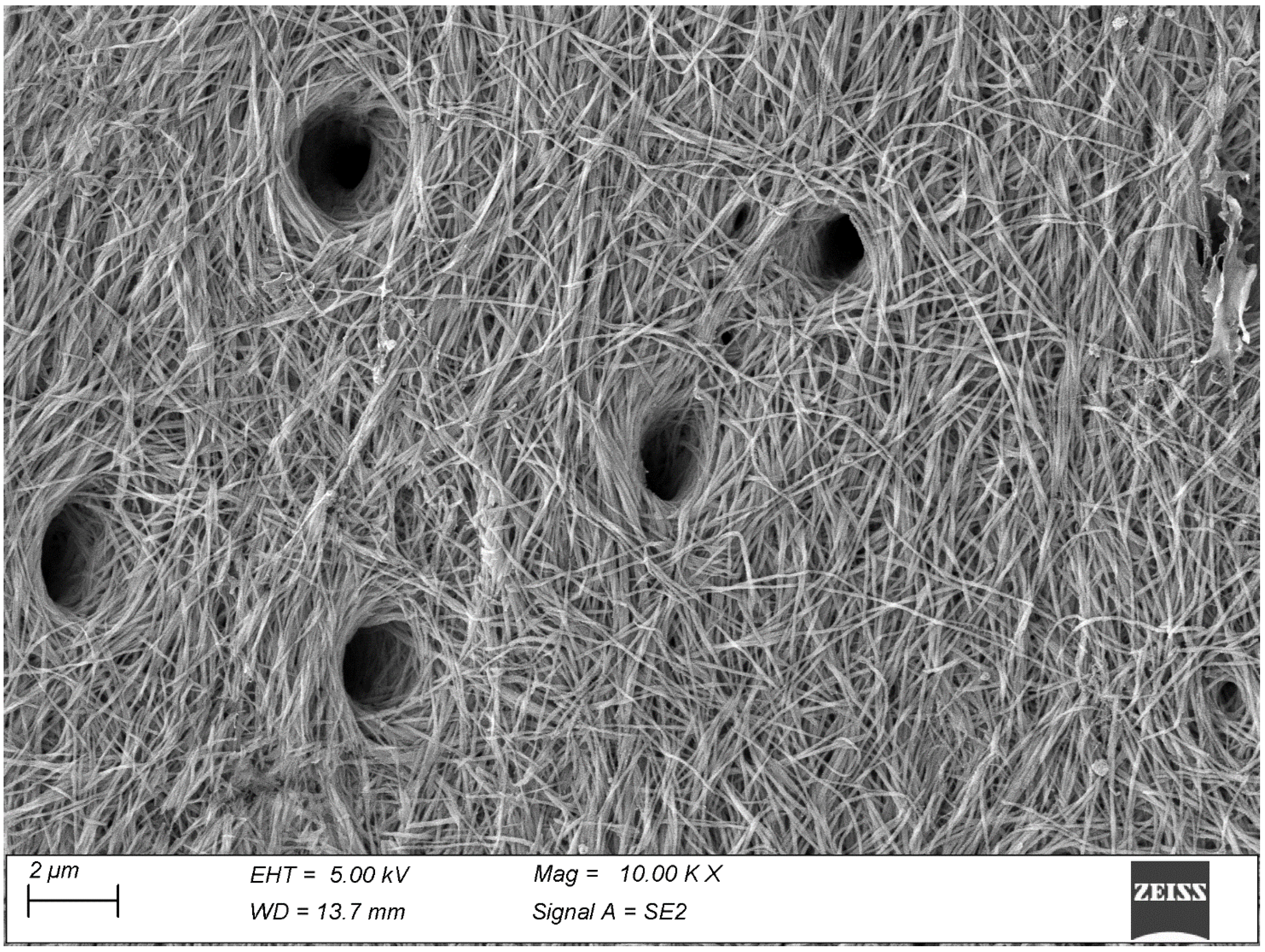 Biomolecules 15 00932 g004