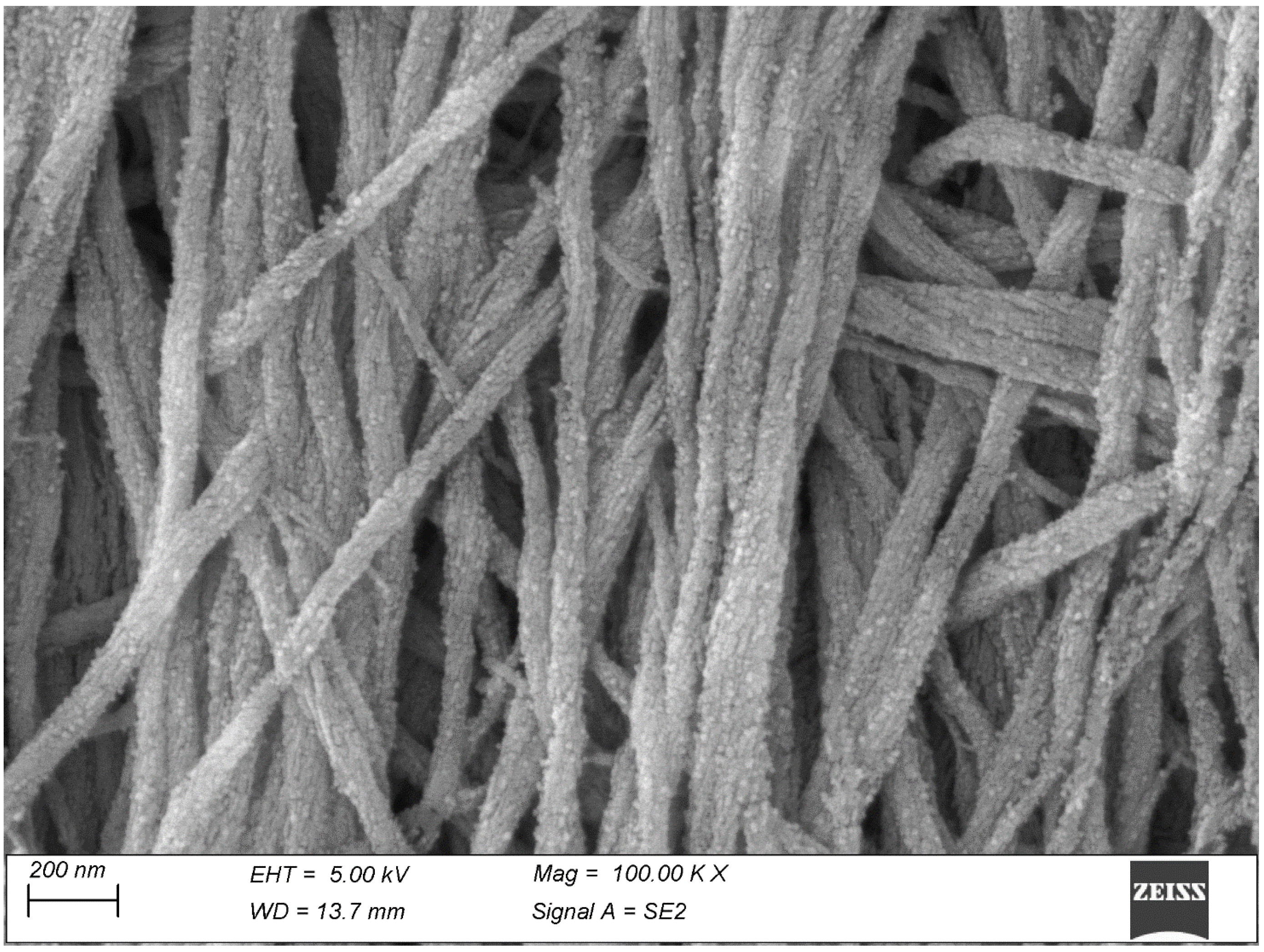 Biomolecules 15 00932 g005