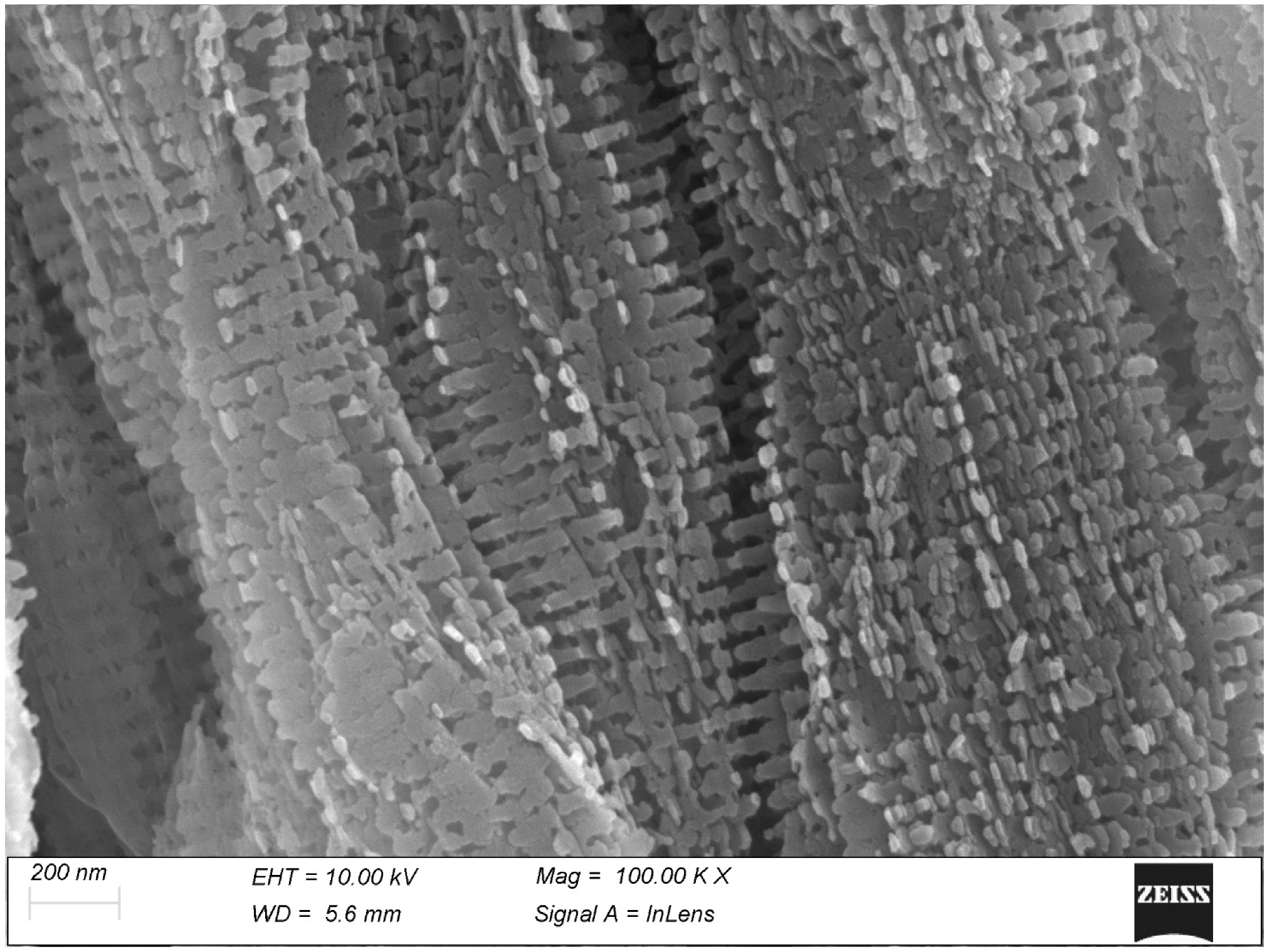 Biomolecules 15 00932 g007