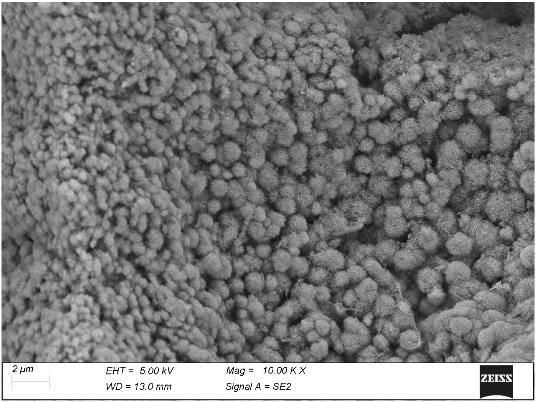 Biomolecules 15 00932 g008