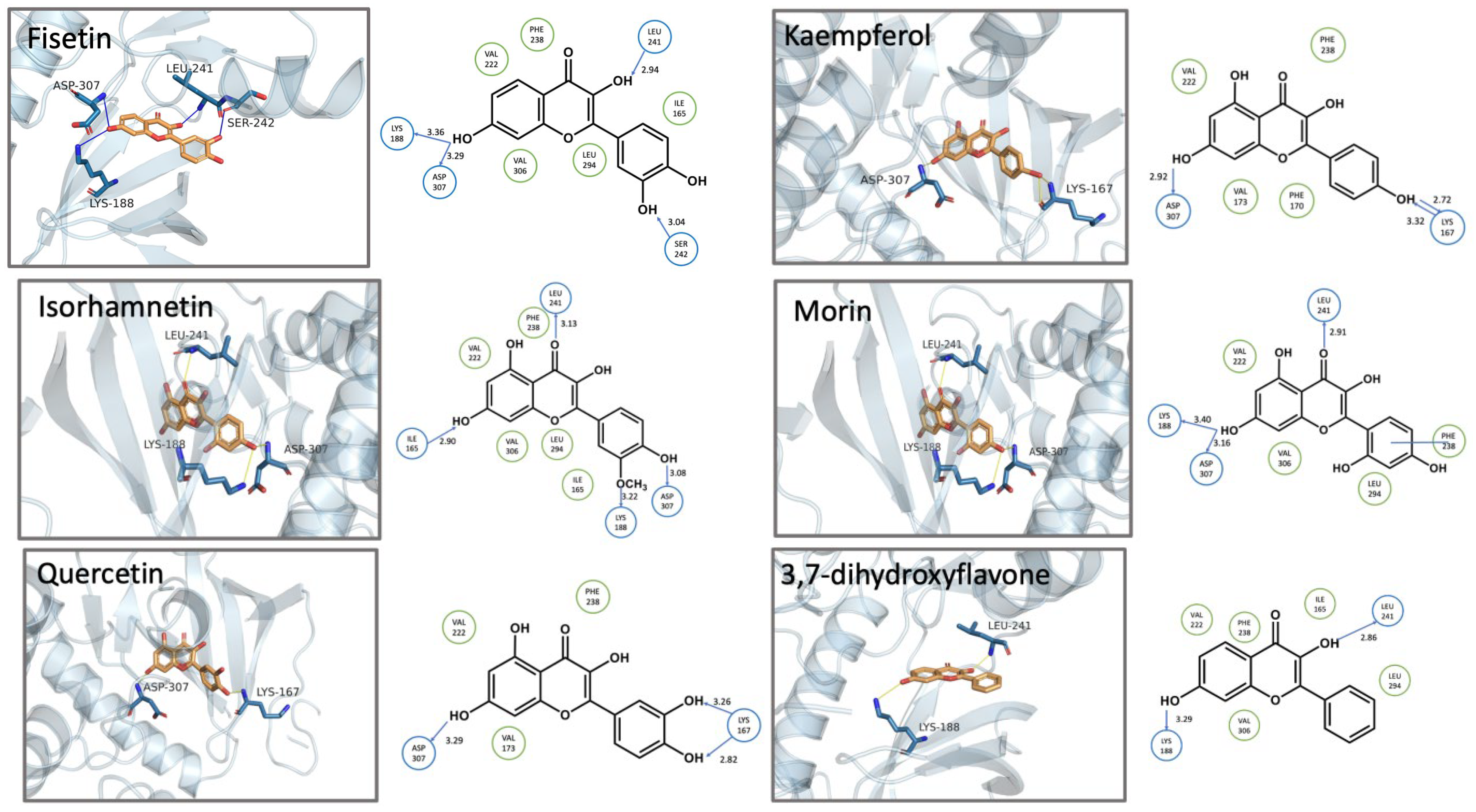 Biomolecules 15 00934 g004