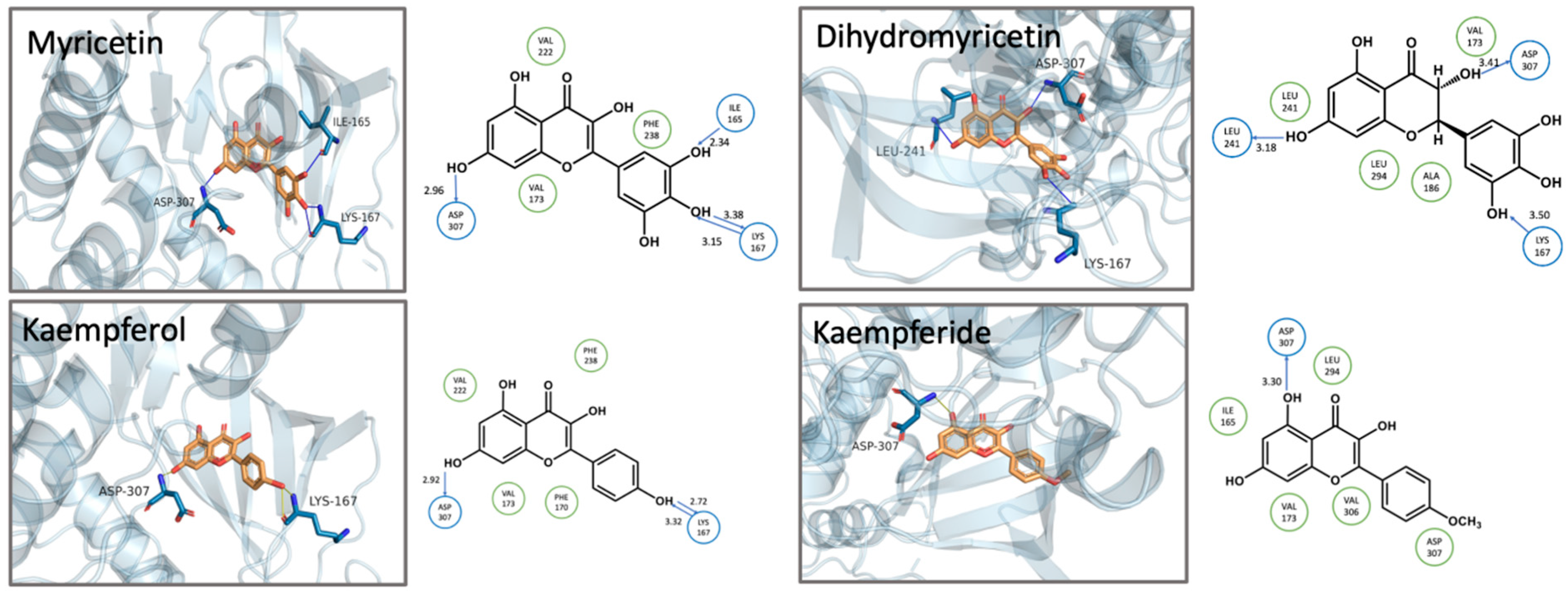 Biomolecules 15 00934 g005