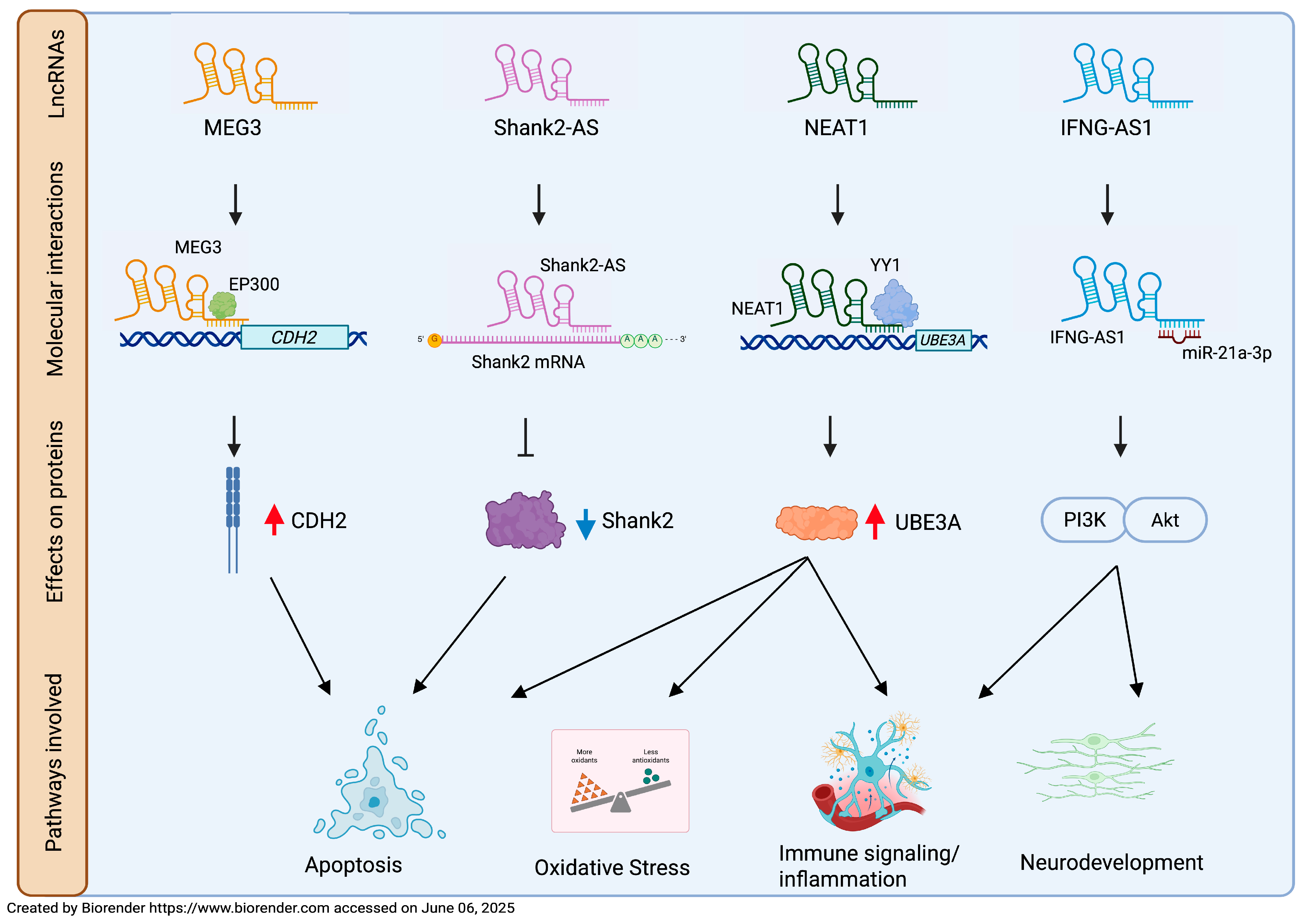Biomolecules 15 00937 g002