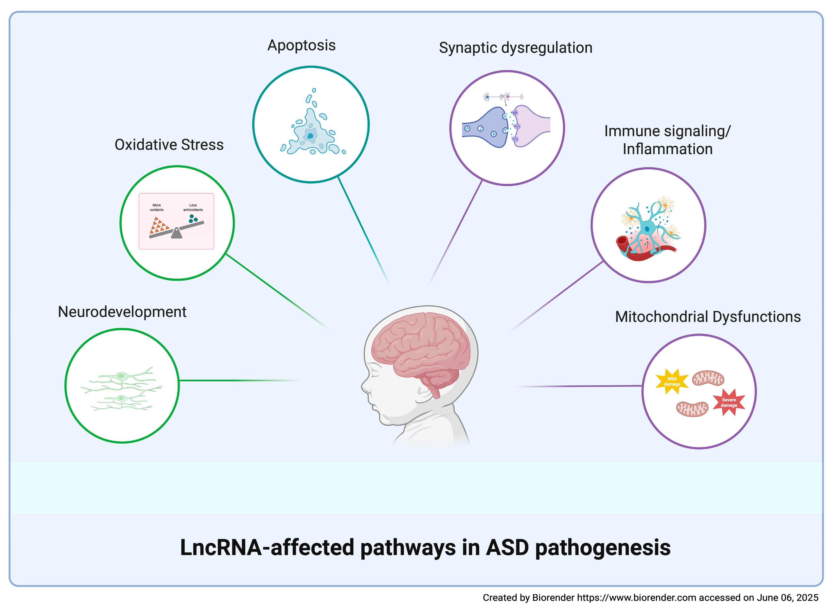 Biomolecules 15 00937 g003