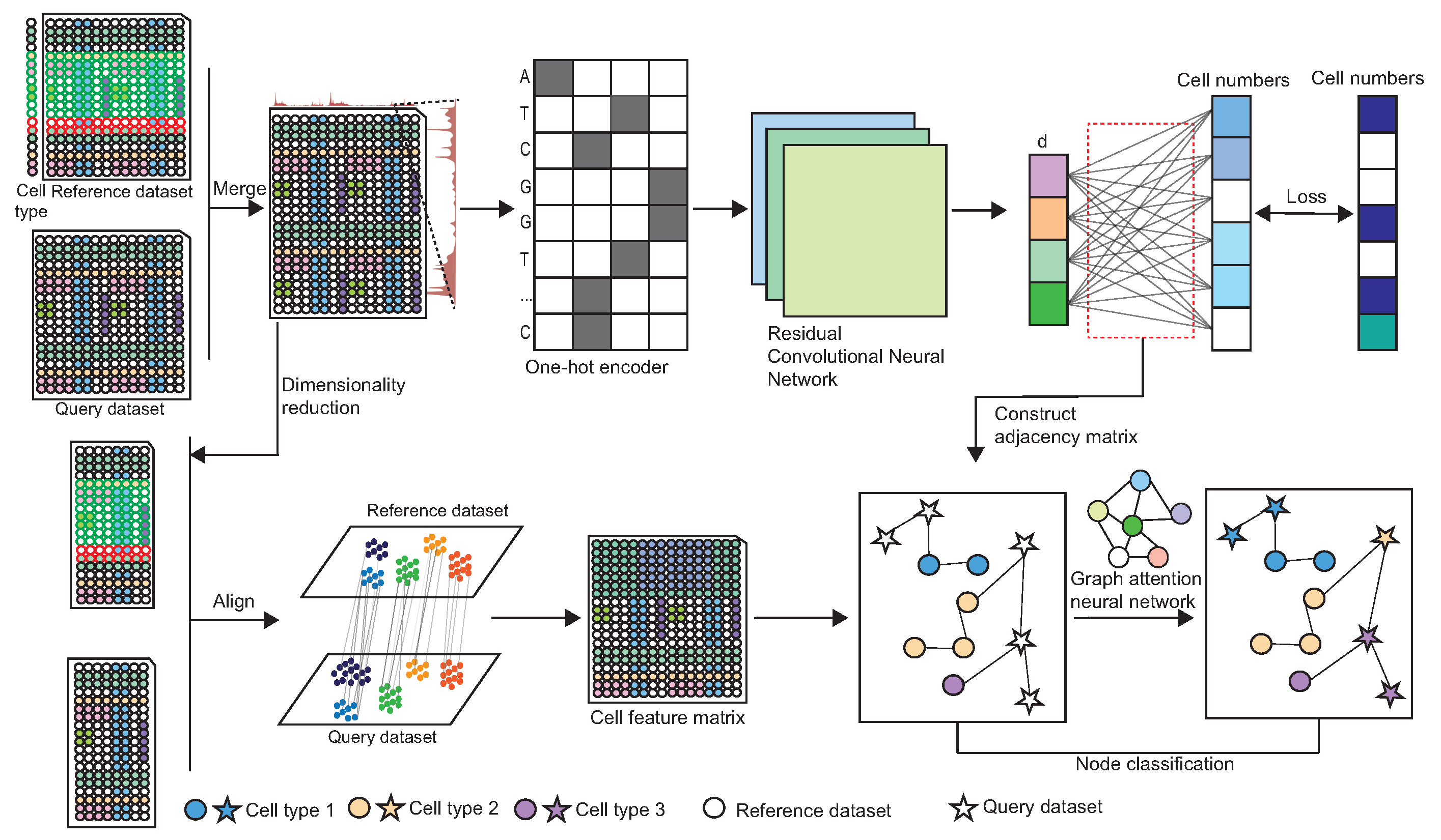 Biomolecules 15 00938 g001