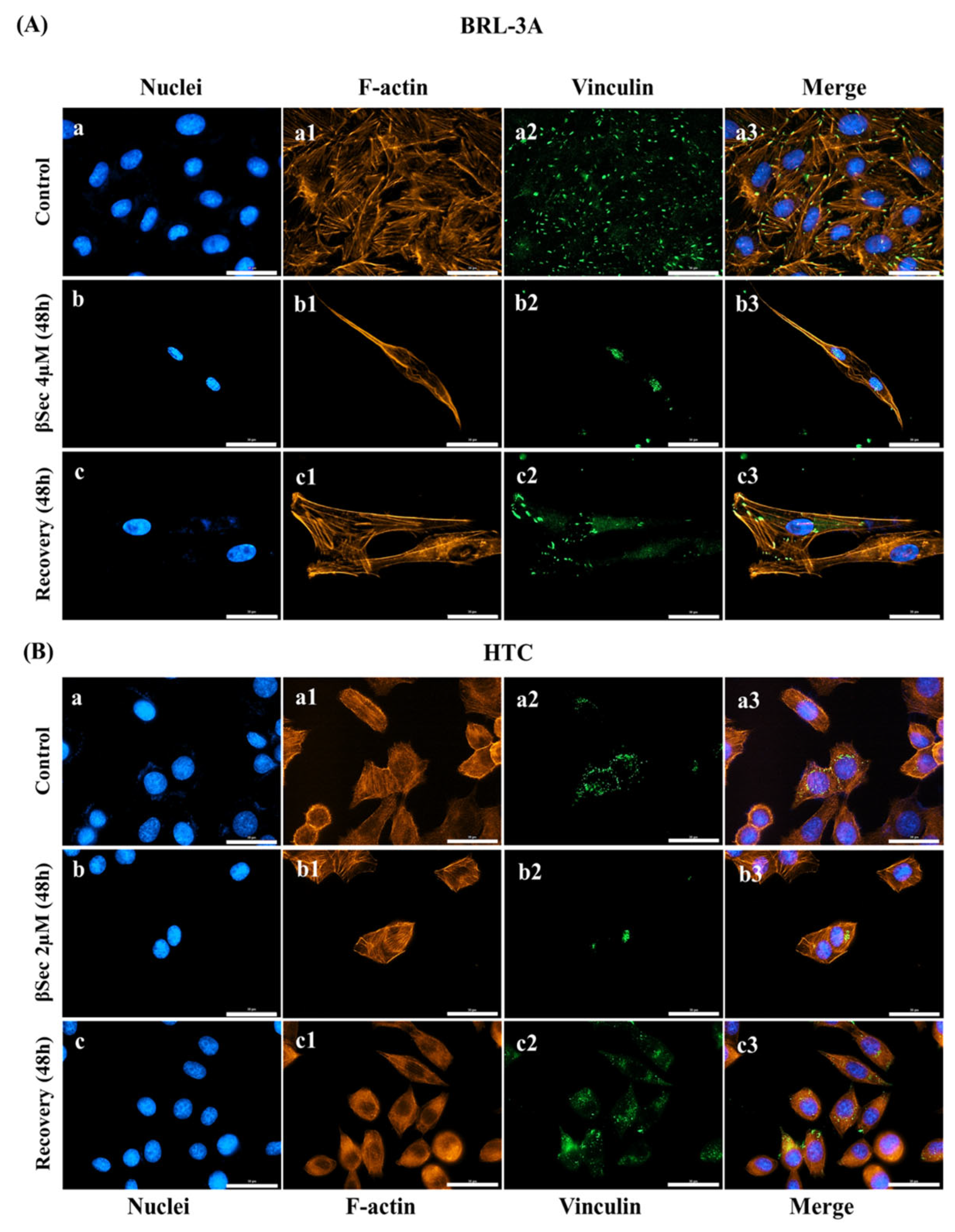 Biomolecules 15 00939 g006