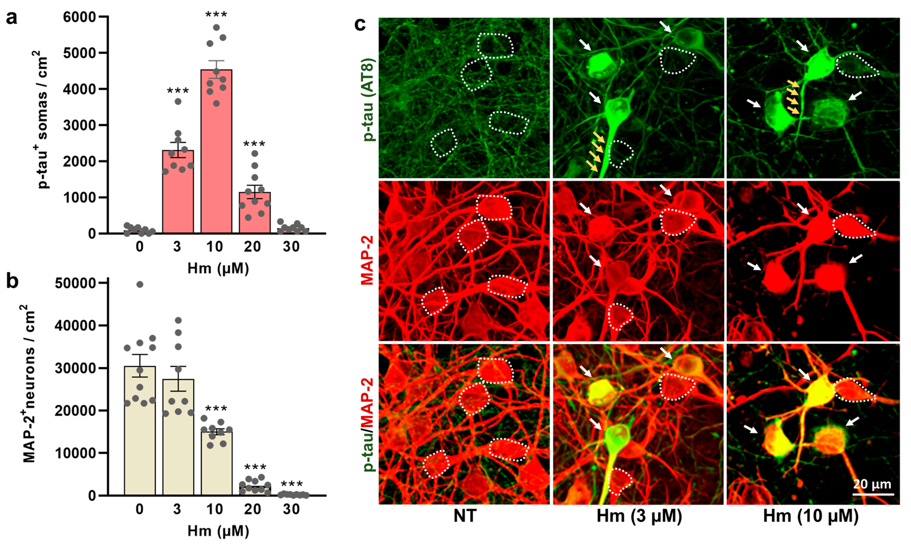 Biomolecules 15 00941 g002