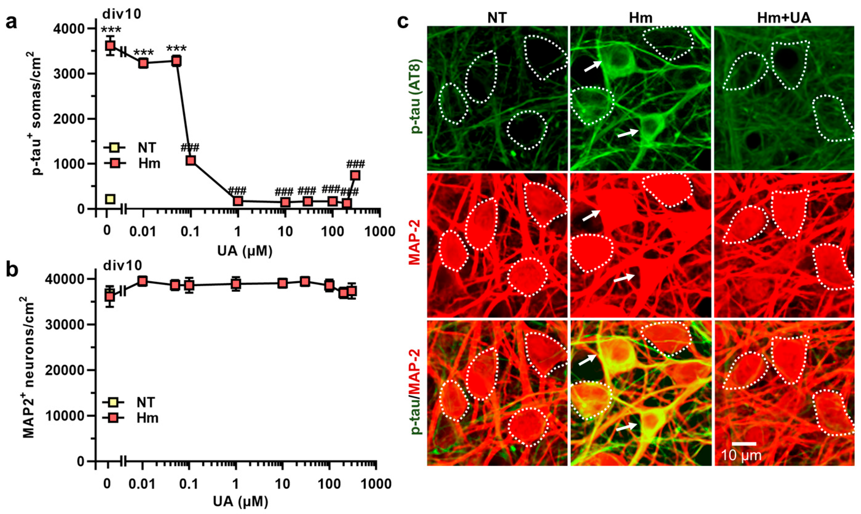 Biomolecules 15 00941 g003