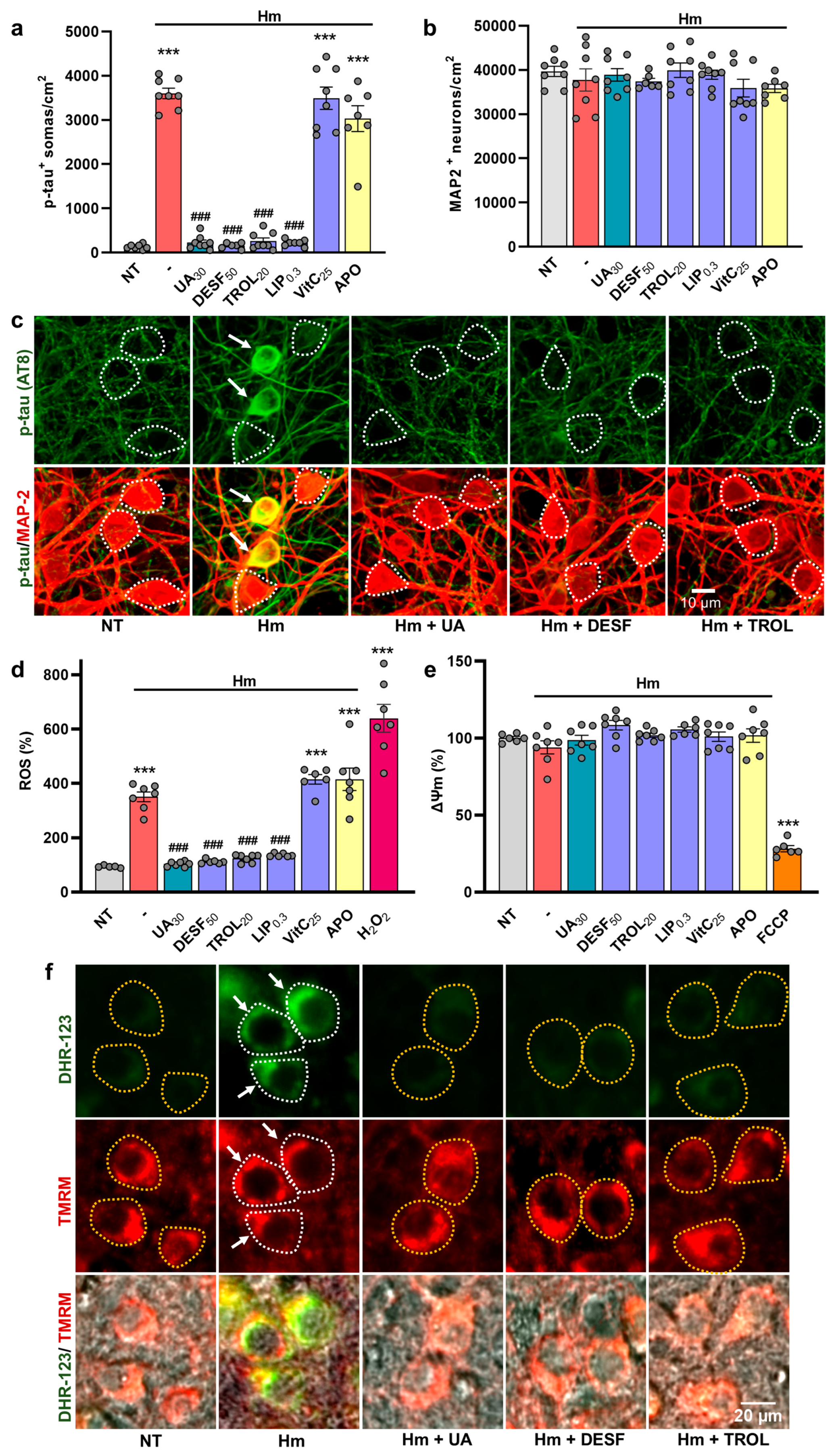 Biomolecules 15 00941 g005