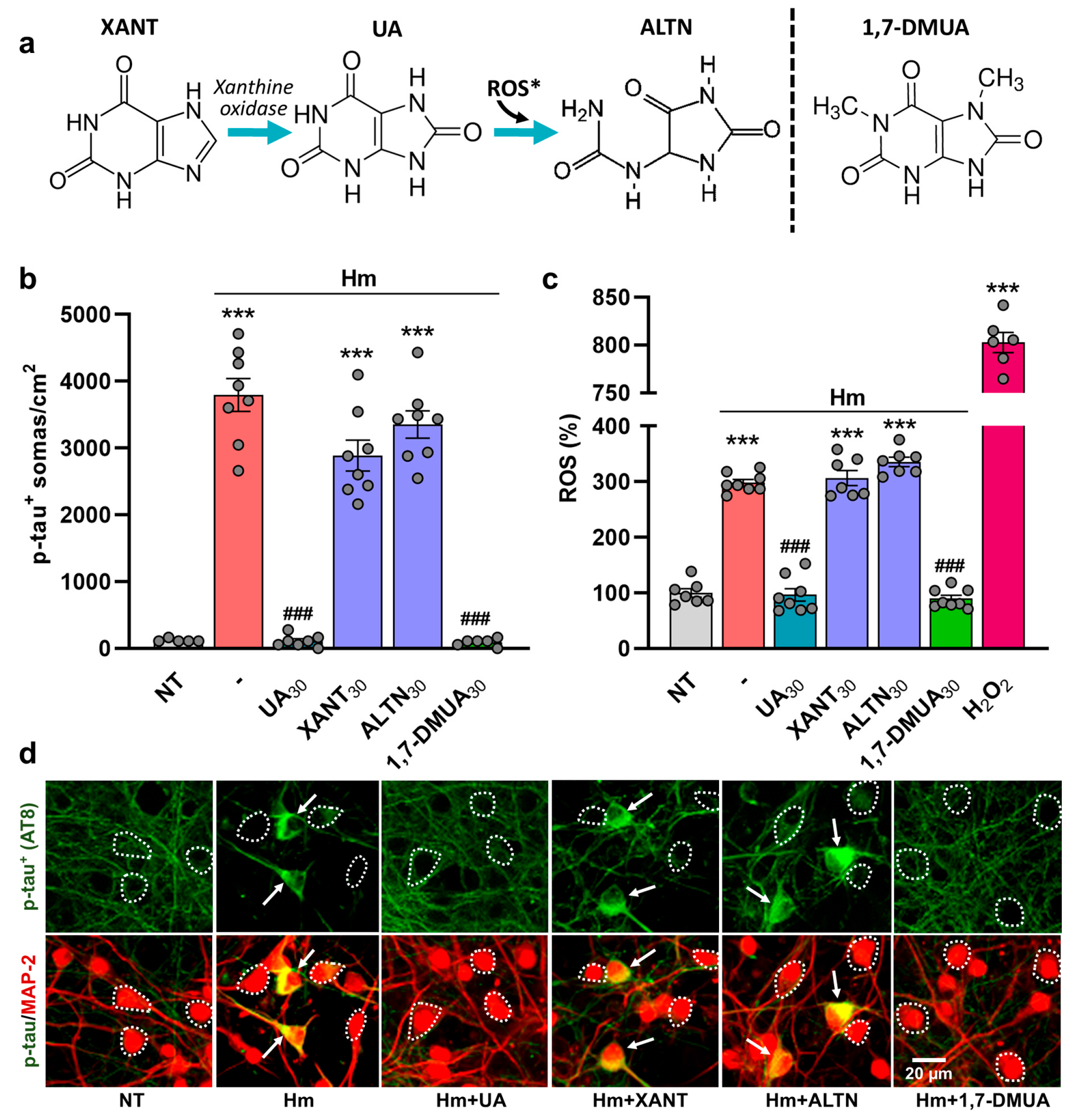 Biomolecules 15 00941 g006