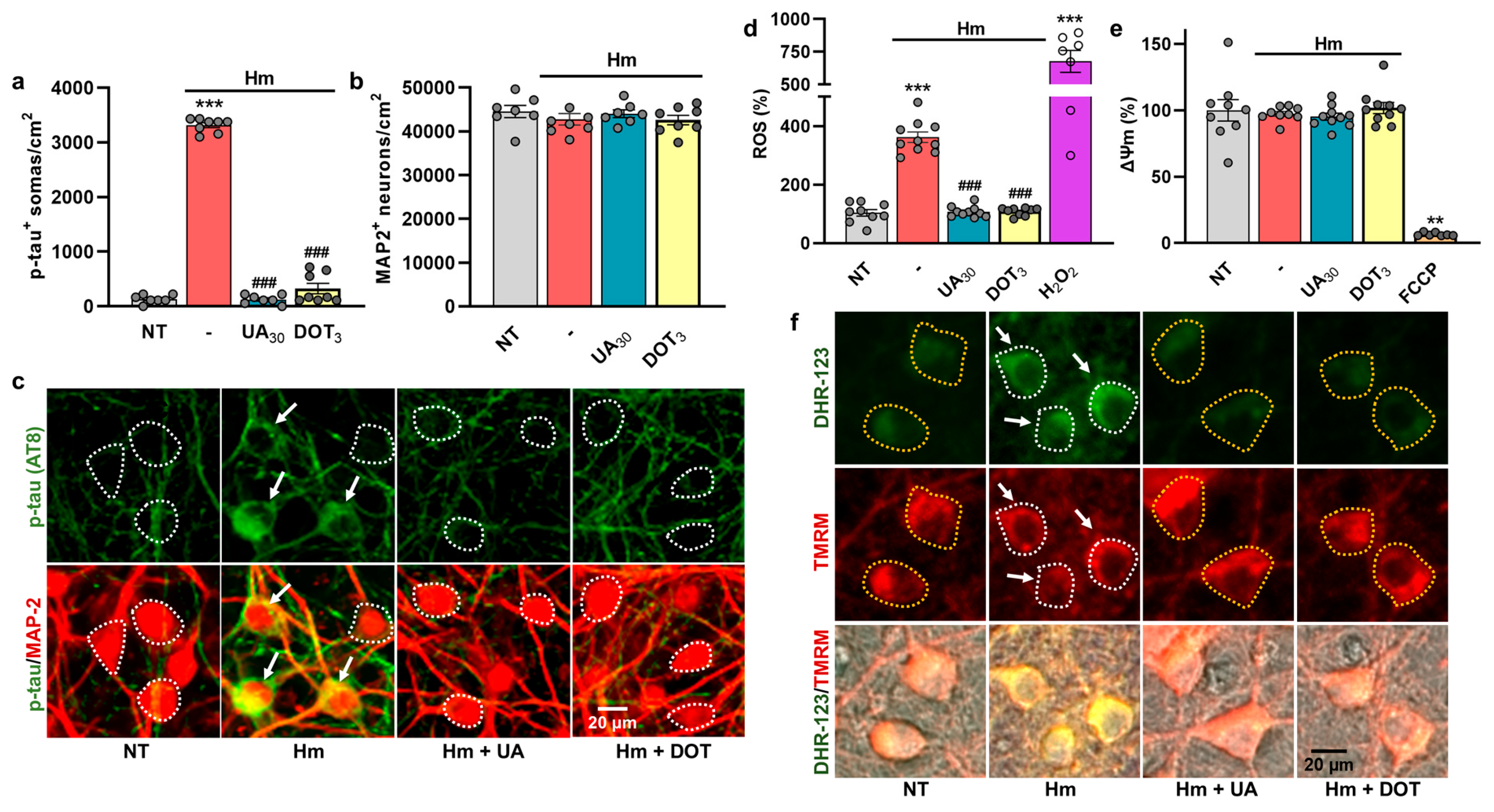 Biomolecules 15 00941 g007