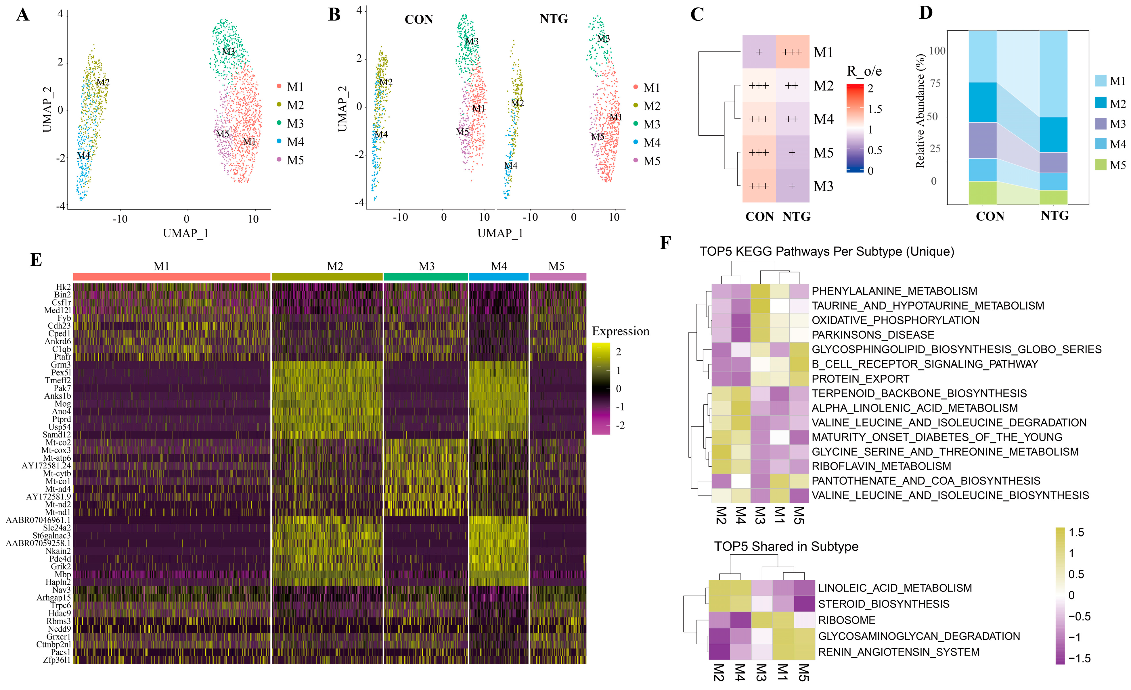 Biomolecules 15 00942 g003