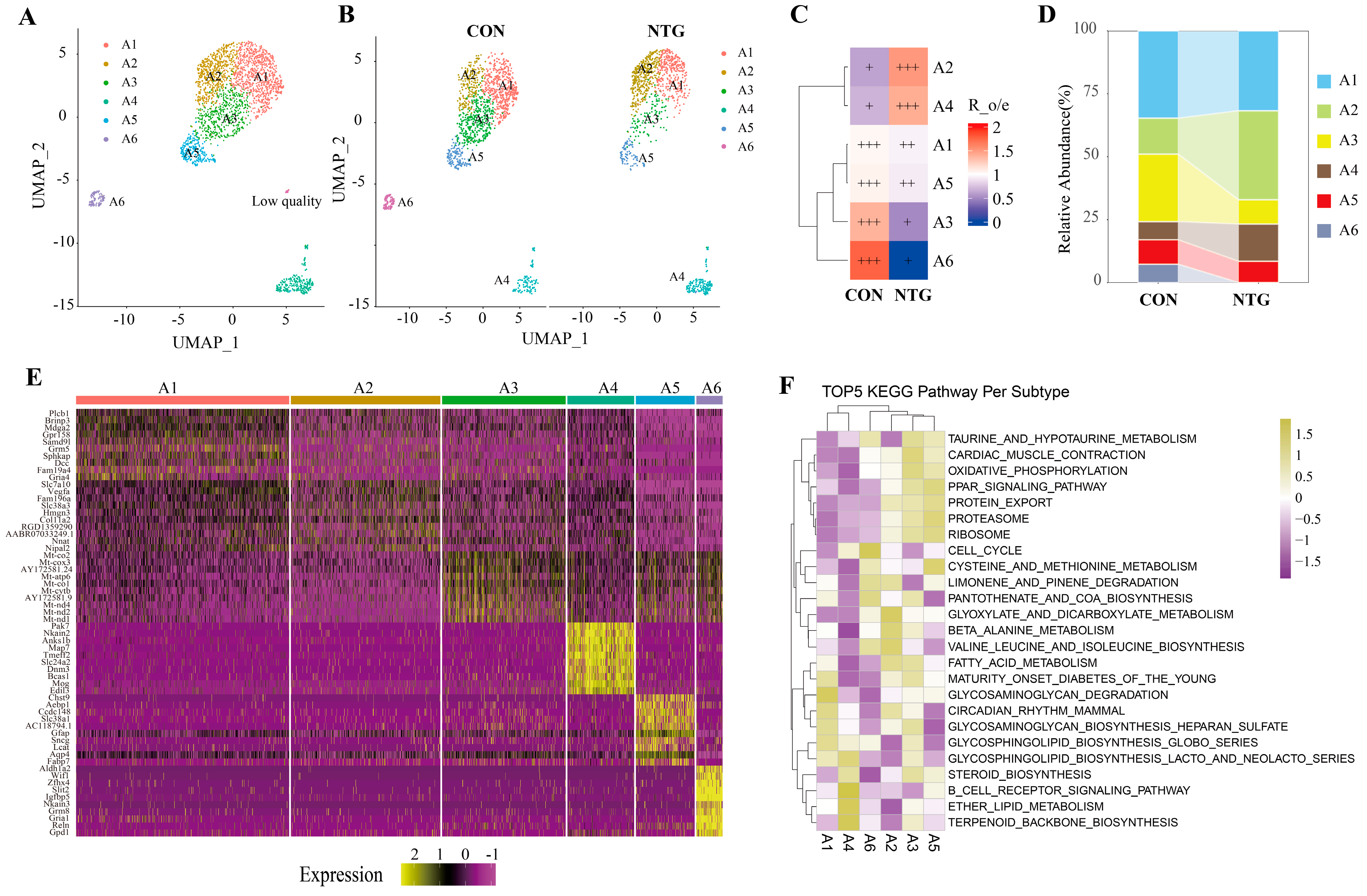Biomolecules 15 00942 g005