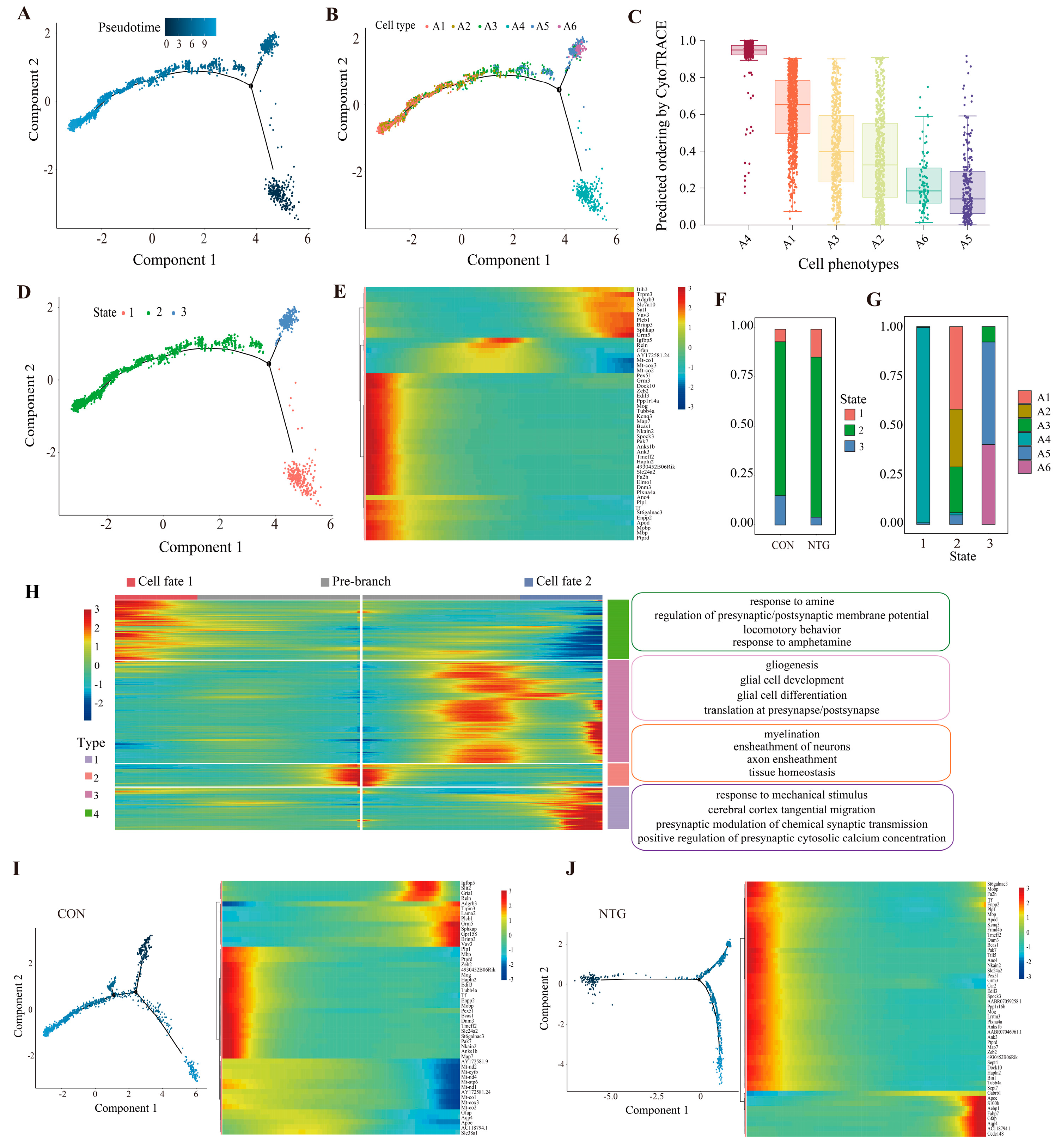 Biomolecules 15 00942 g006