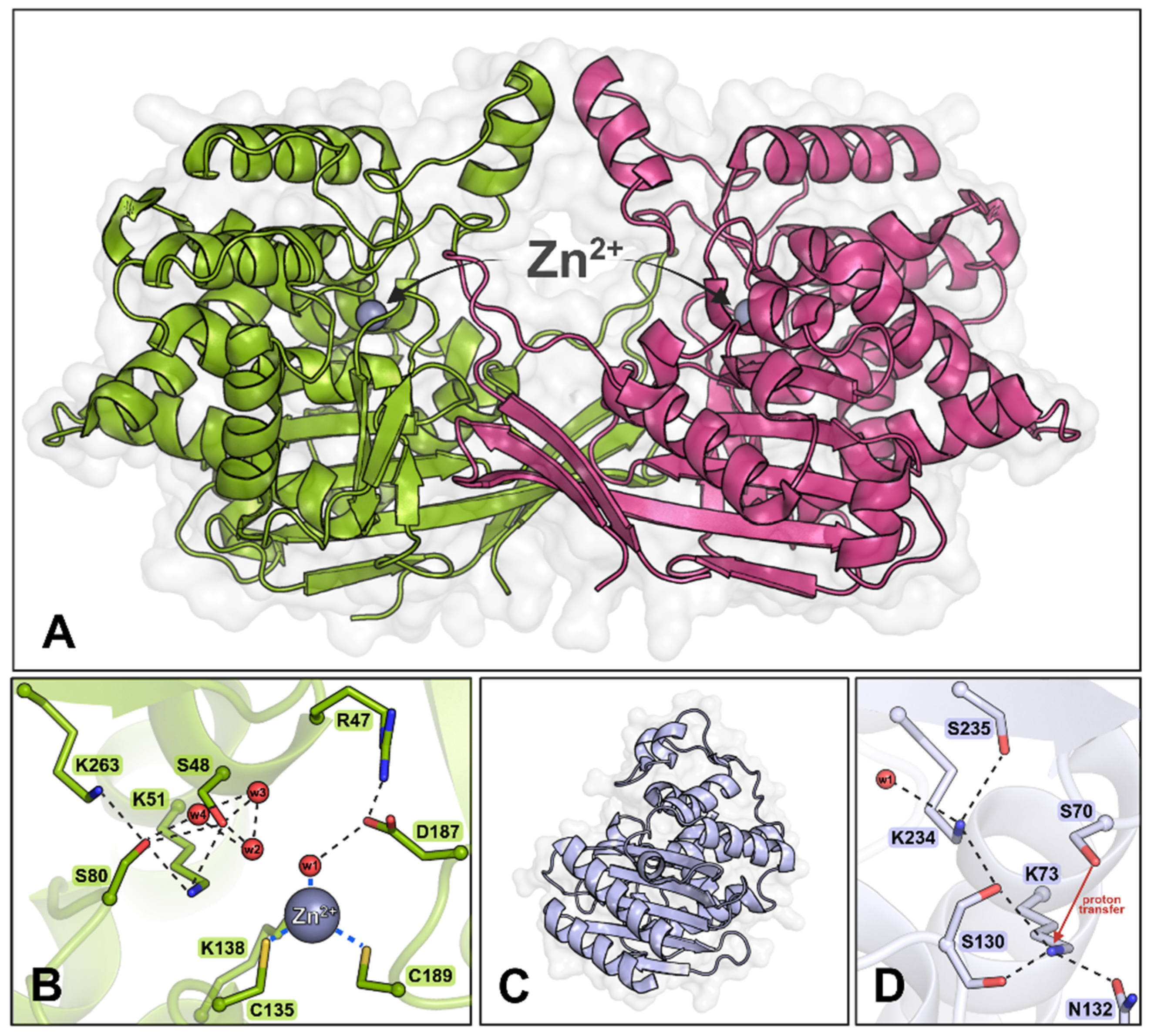 Biomolecules 15 00944 g001
