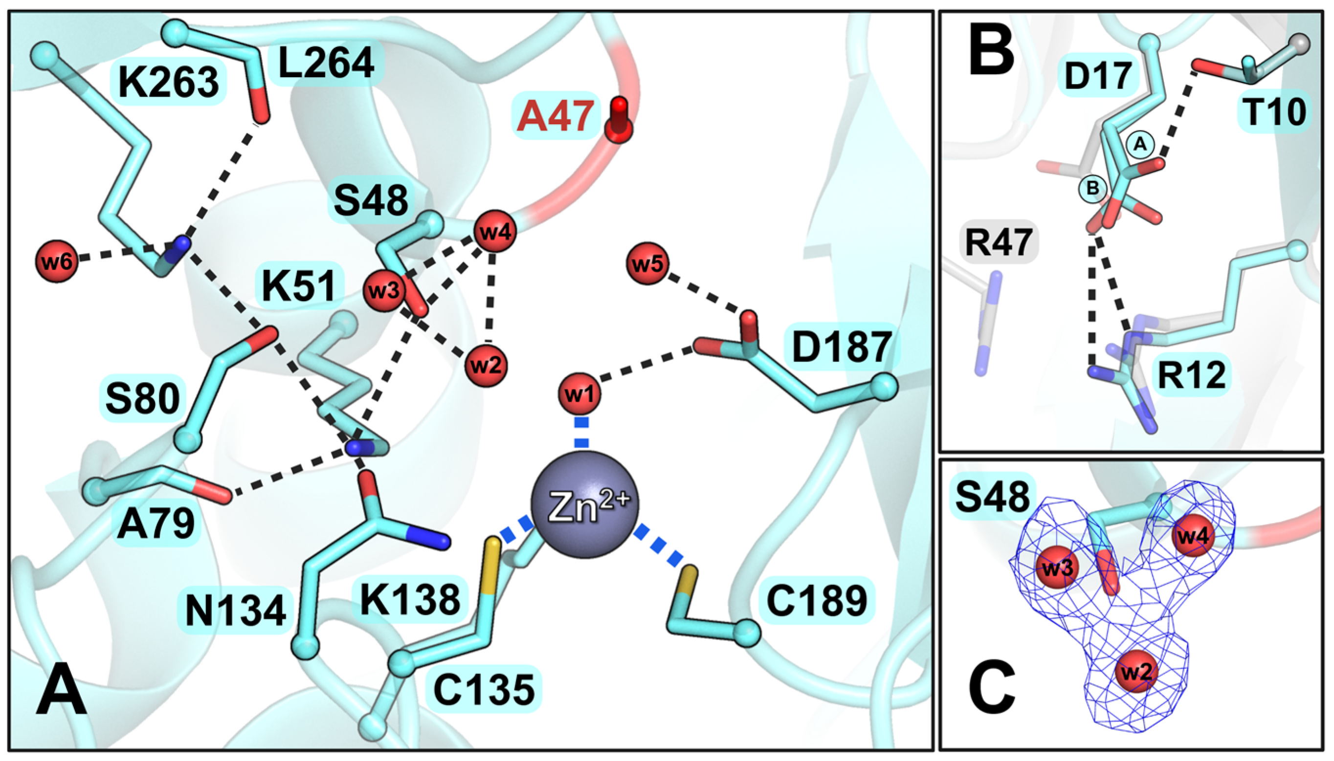 Biomolecules 15 00944 g002