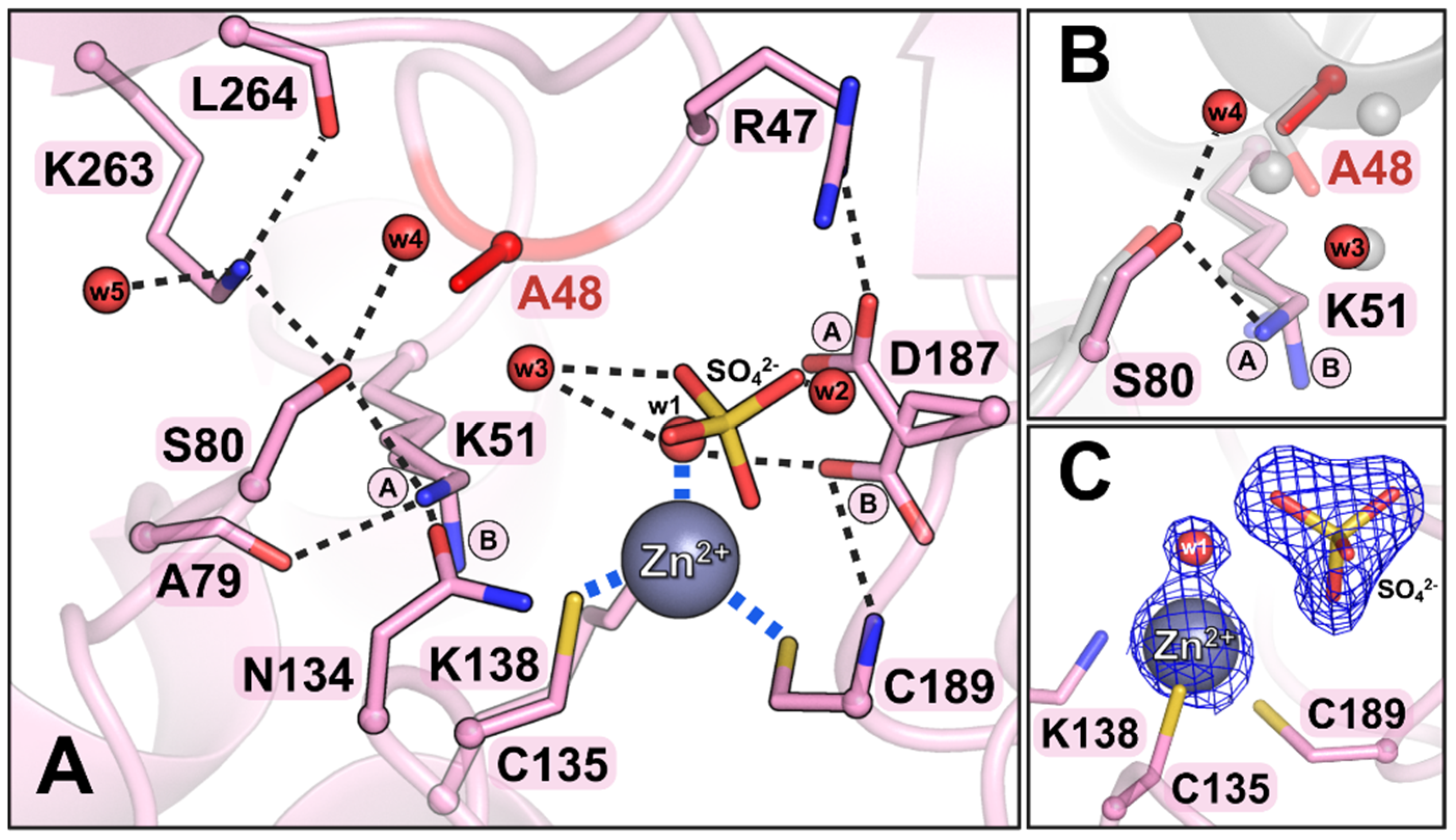 Biomolecules 15 00944 g003