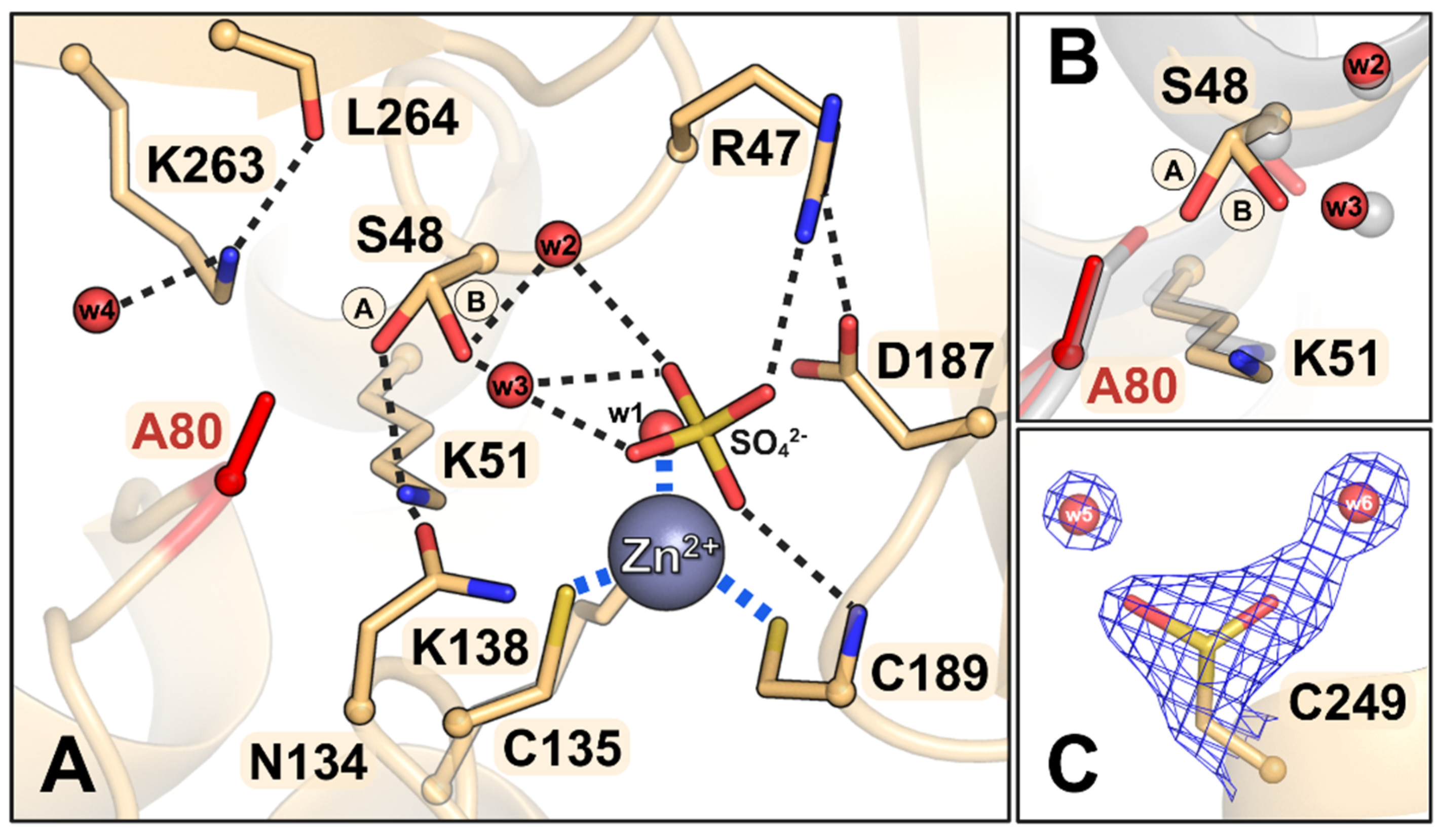 Biomolecules 15 00944 g005