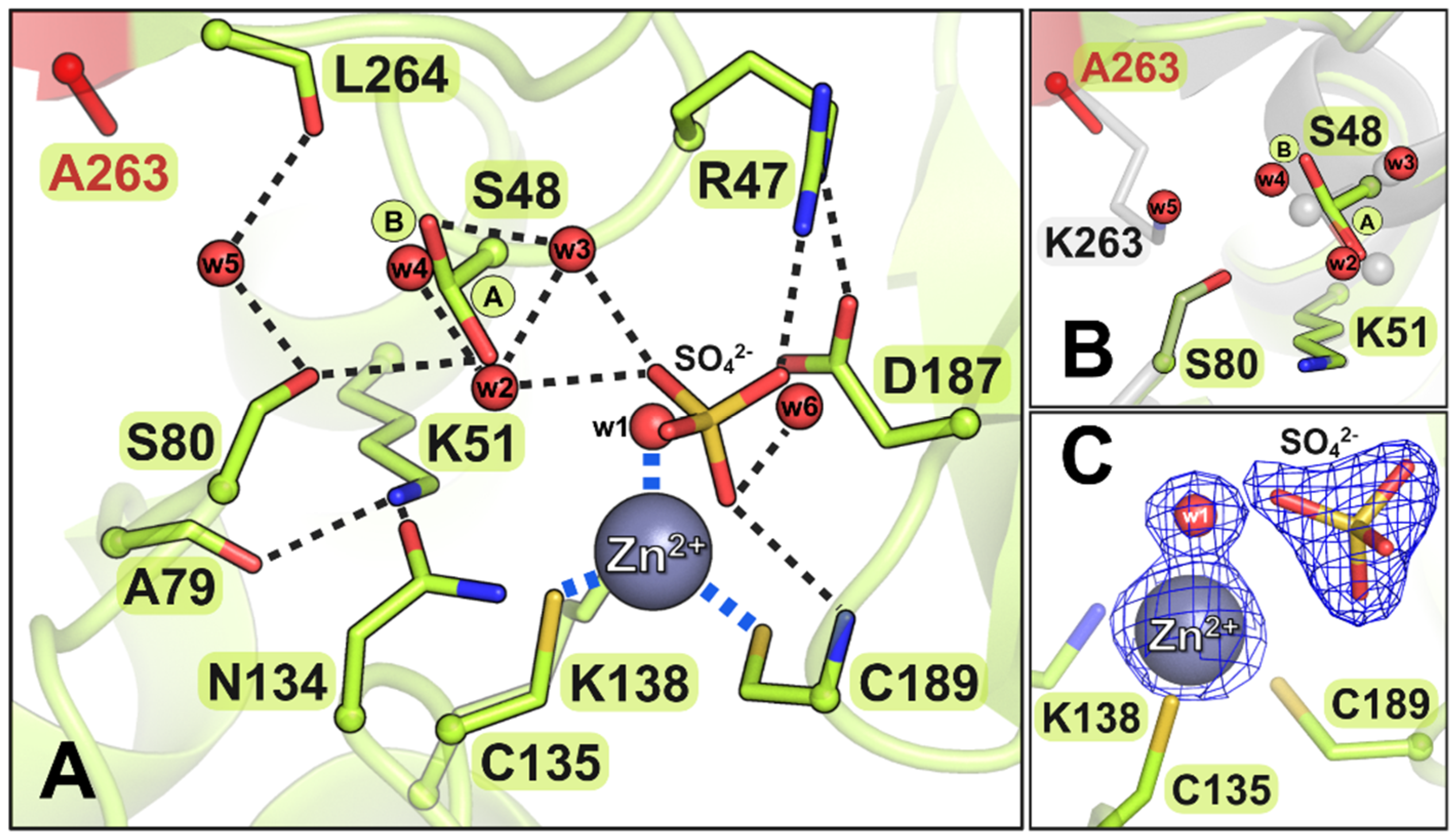 Biomolecules 15 00944 g006