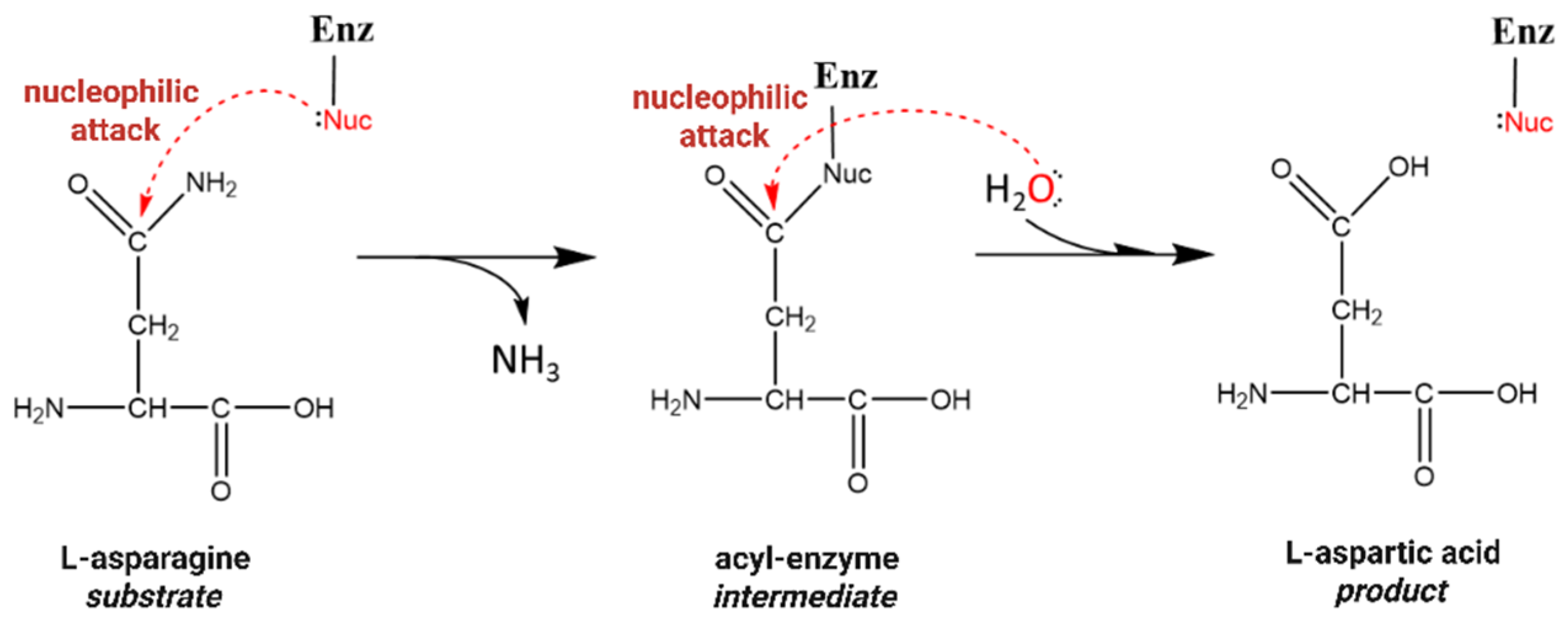 Biomolecules 15 00944 sch001