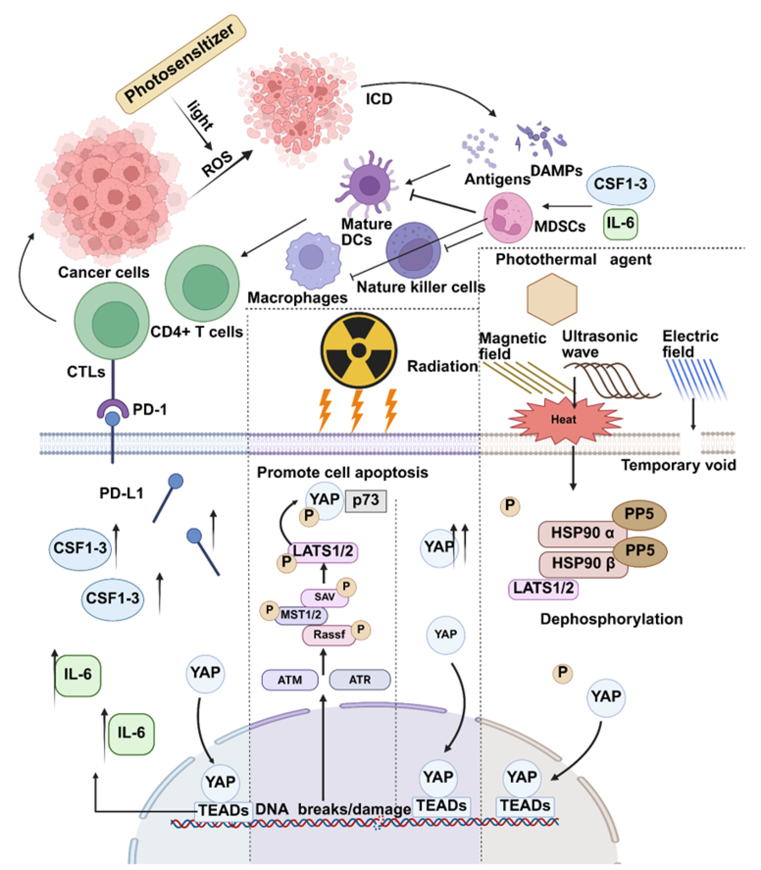 Biomolecules 15 00945 g001