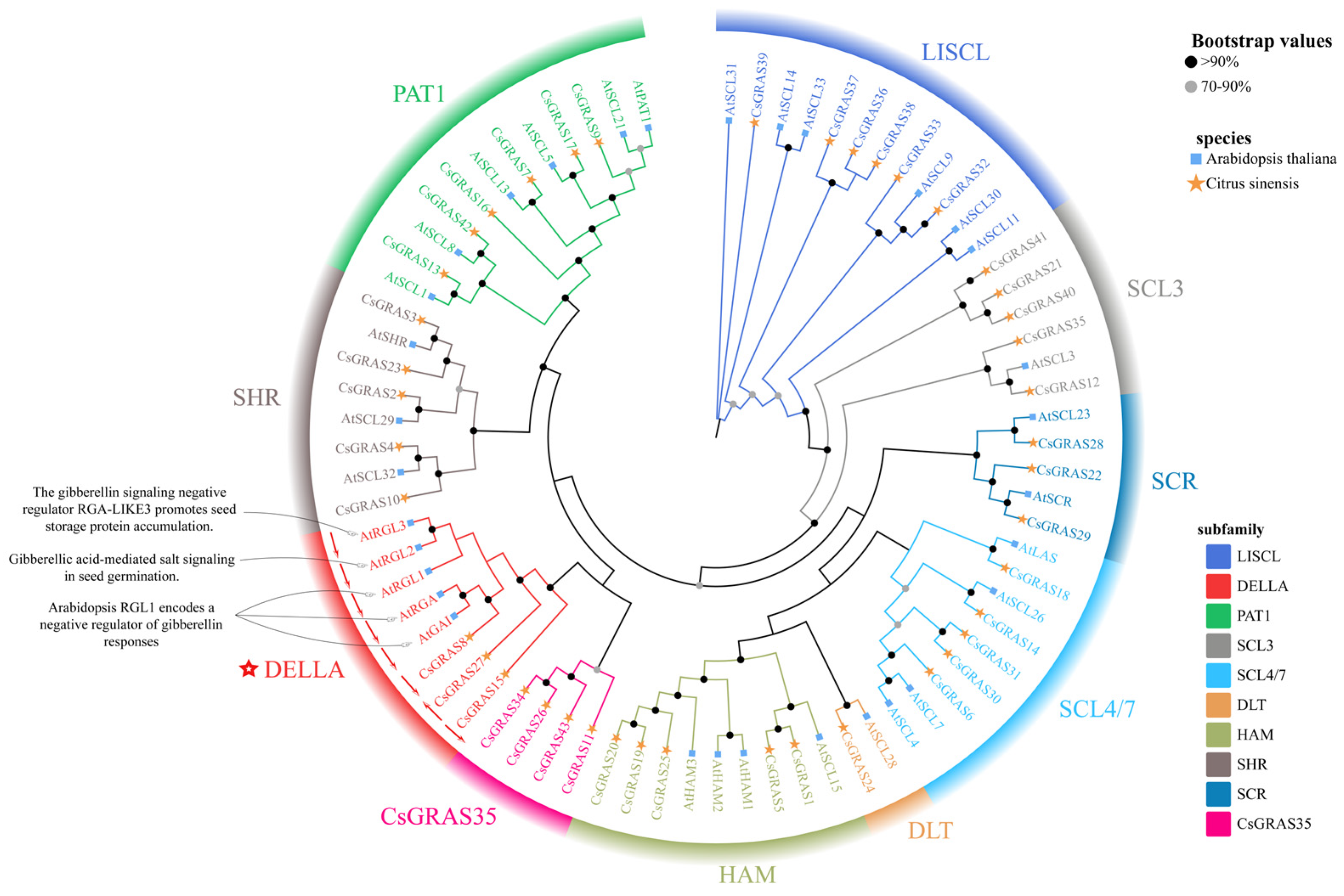 Biomolecules 15 00946 g002