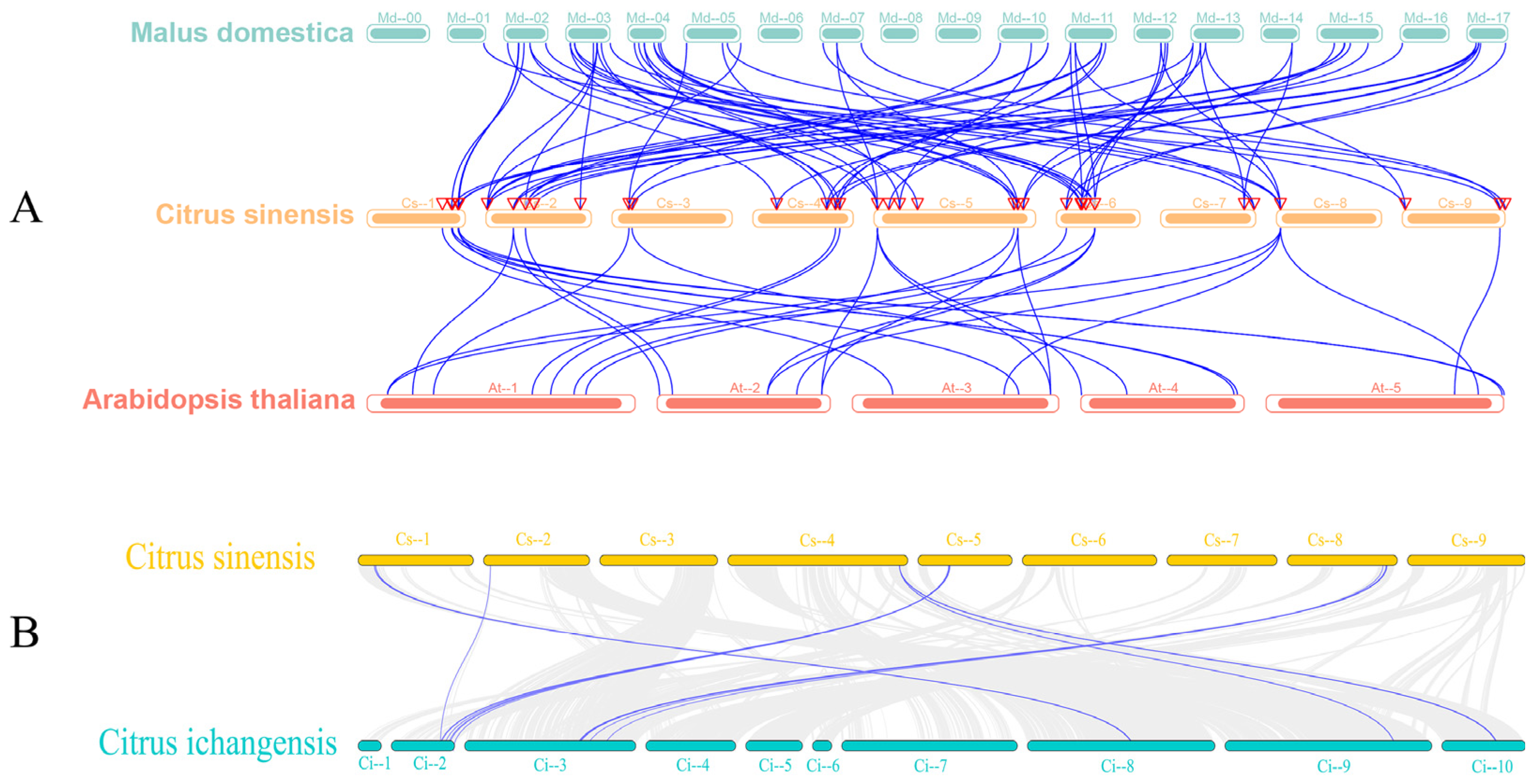 Biomolecules 15 00946 g004