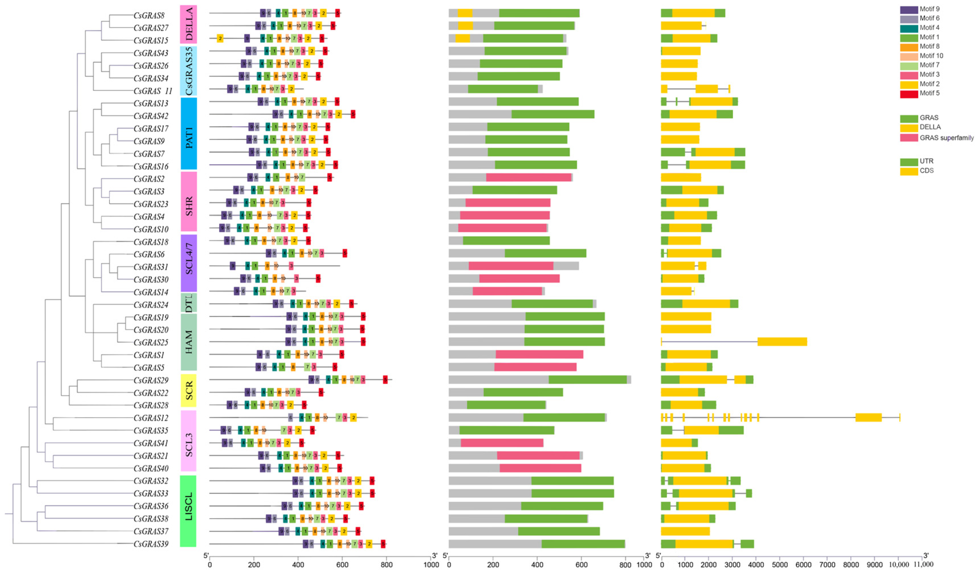 Biomolecules 15 00946 g005