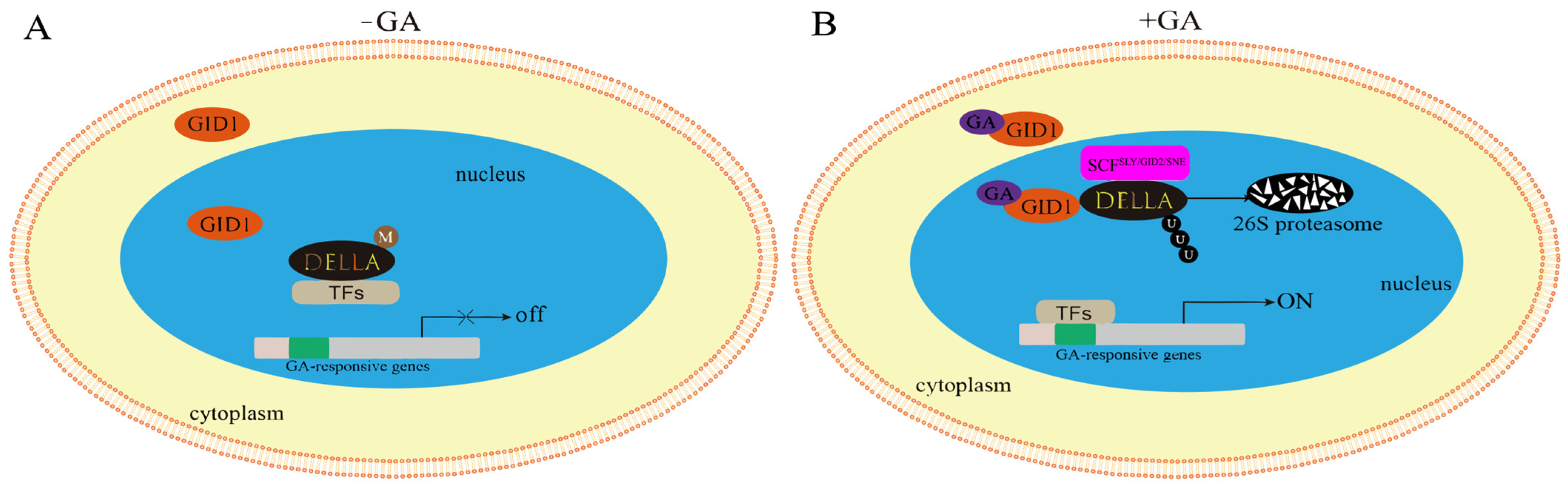 Biomolecules 15 00946 g009