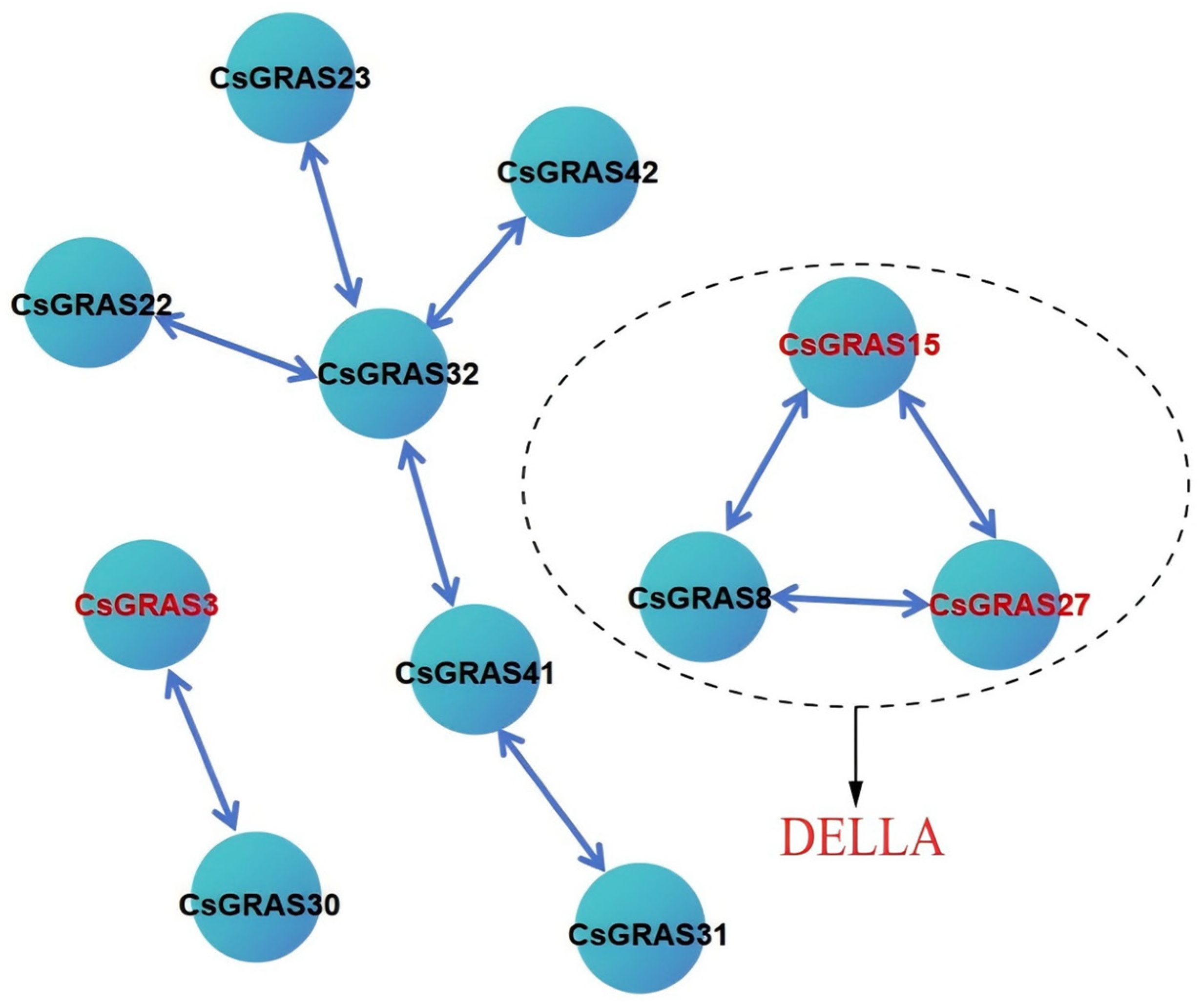 Biomolecules 15 00946 g010