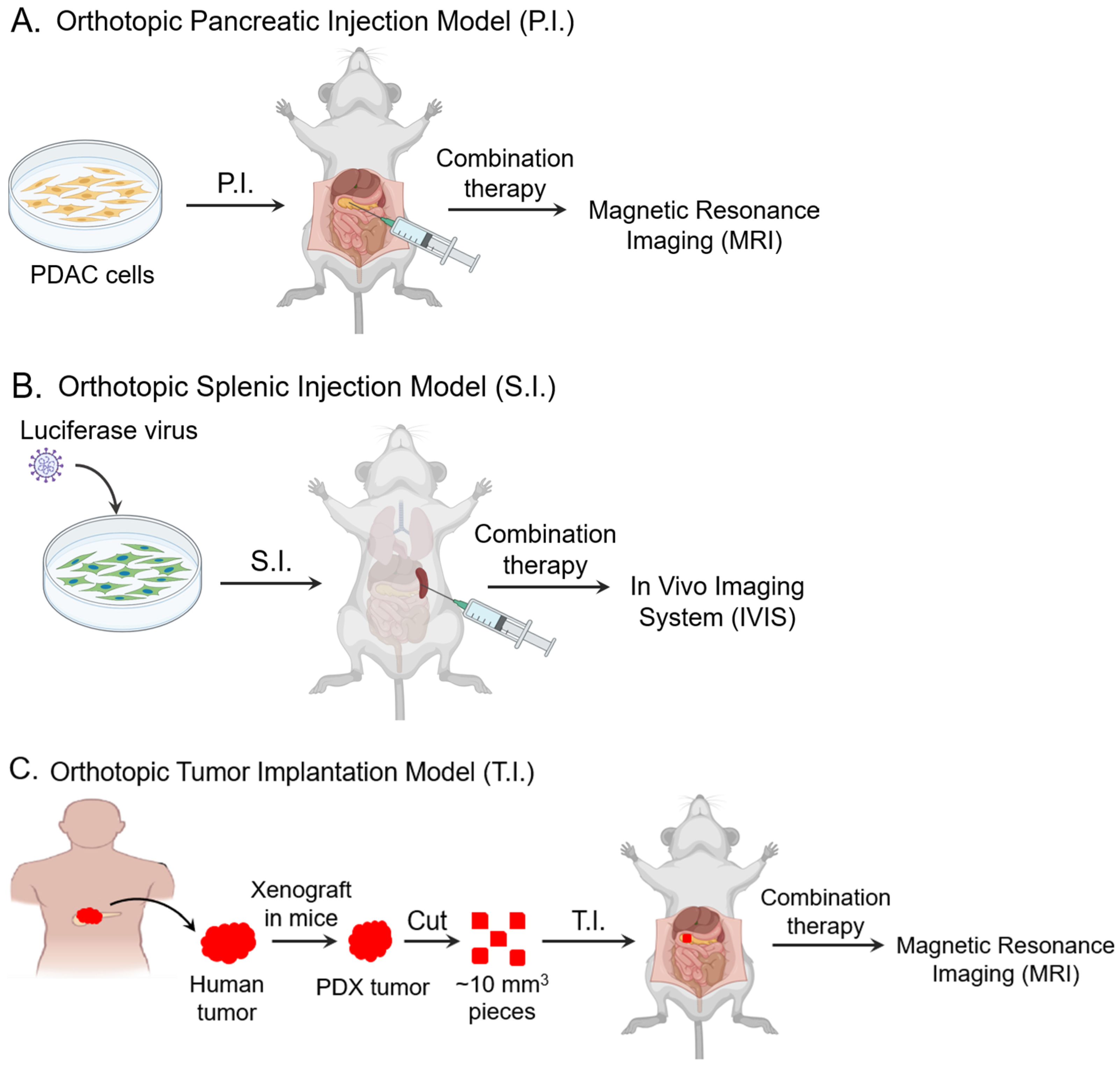 Biomolecules 15 00948 g001