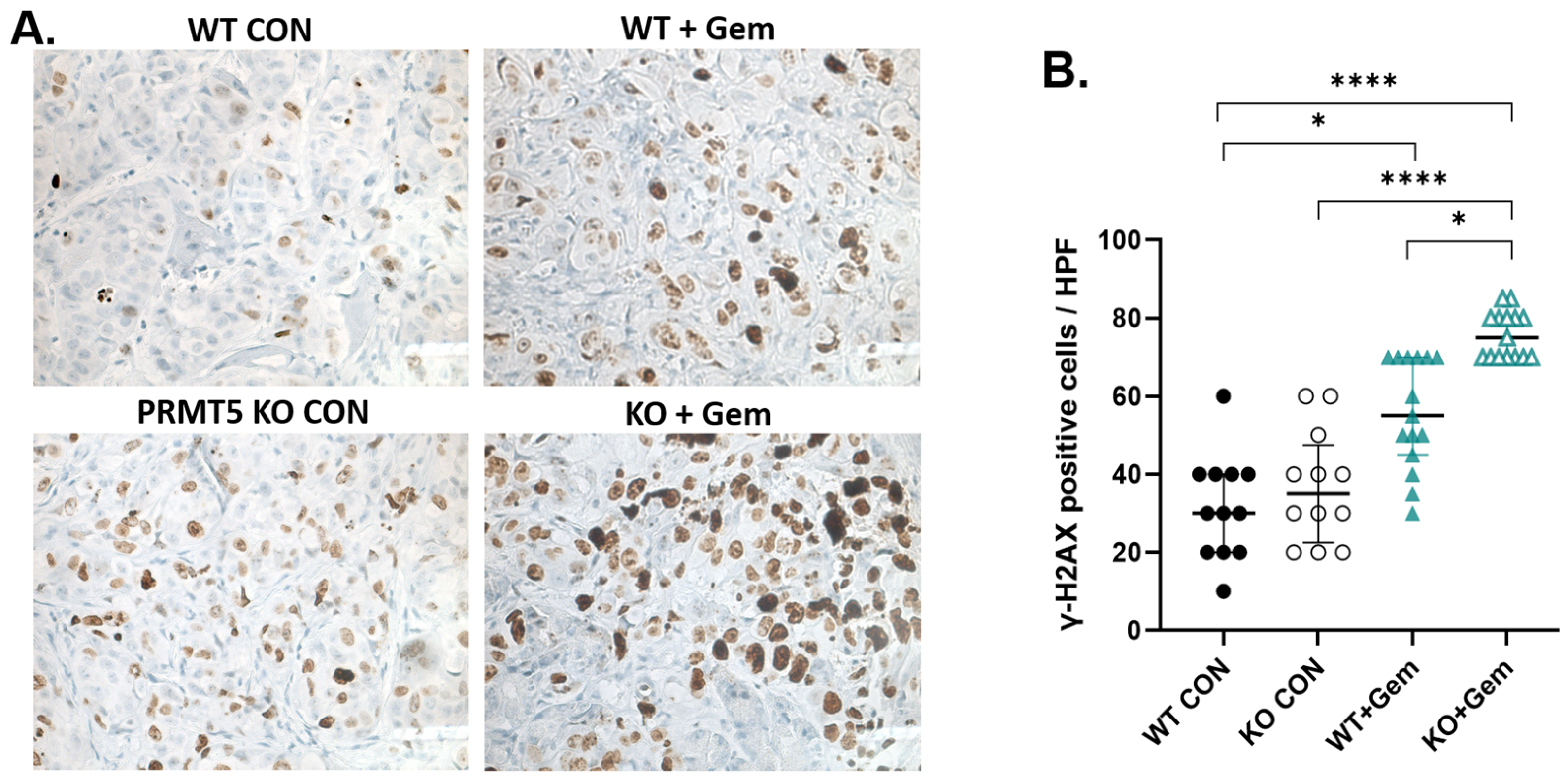 Biomolecules 15 00948 g005