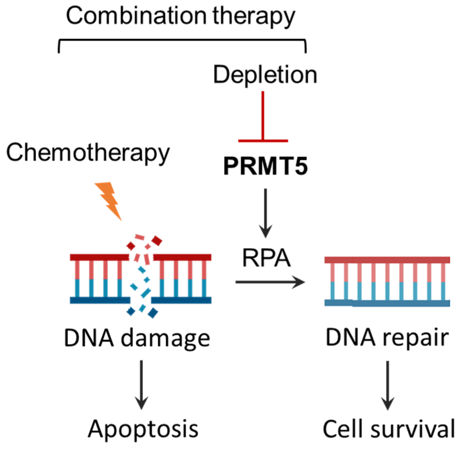Biomolecules 15 00948 g006