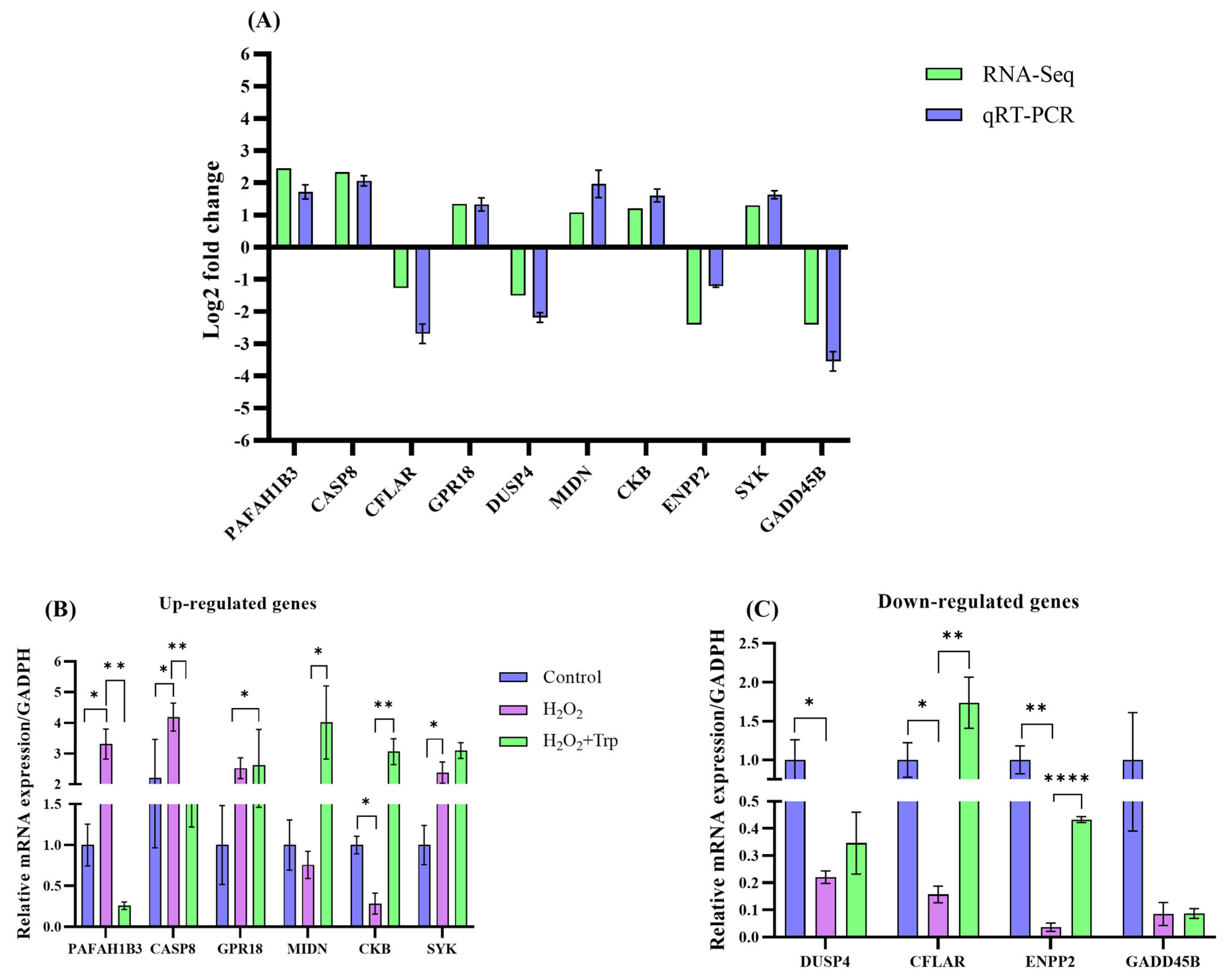 Biomolecules 15 00949 g007