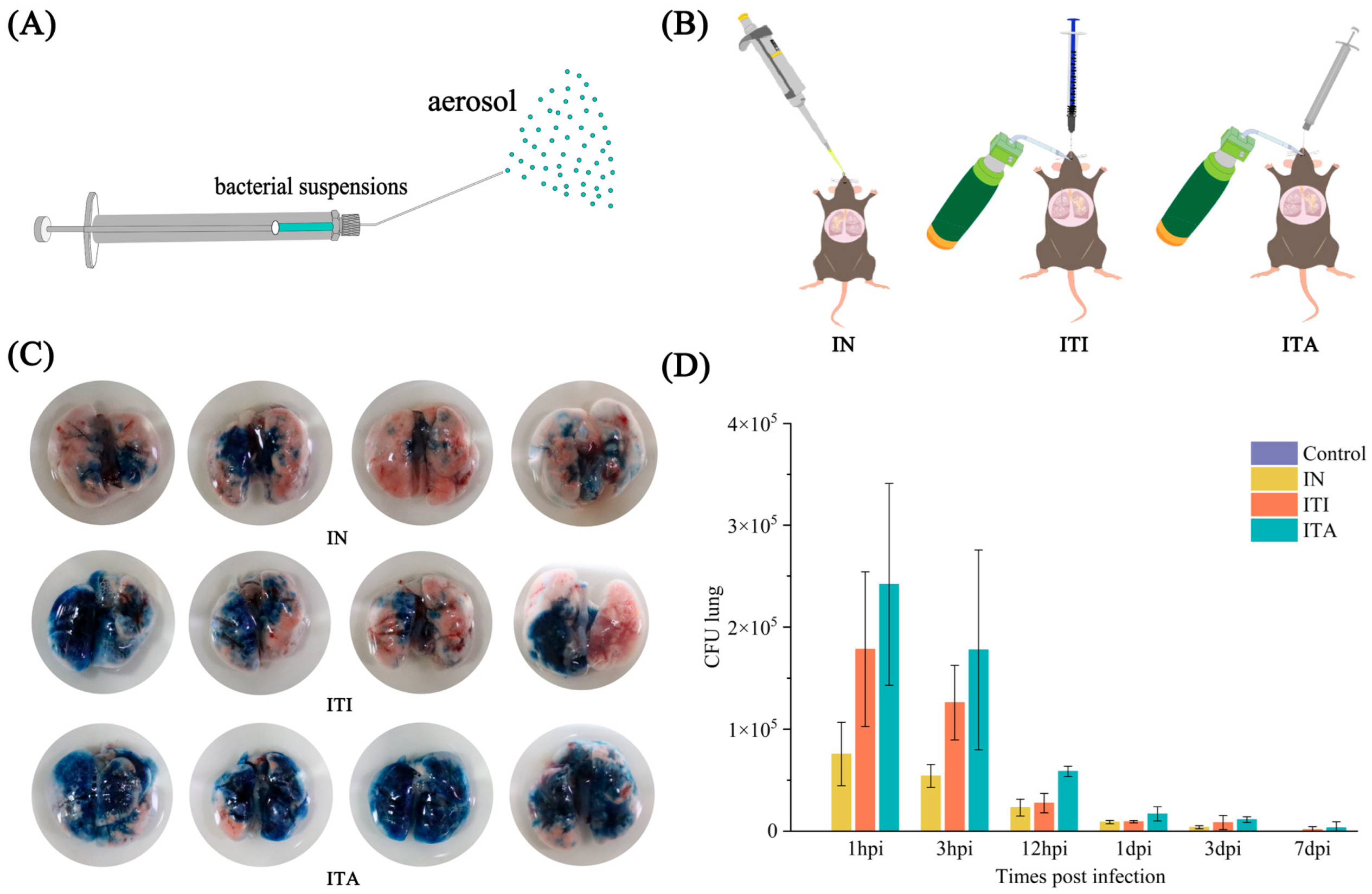 Biomolecules 15 00950 g001