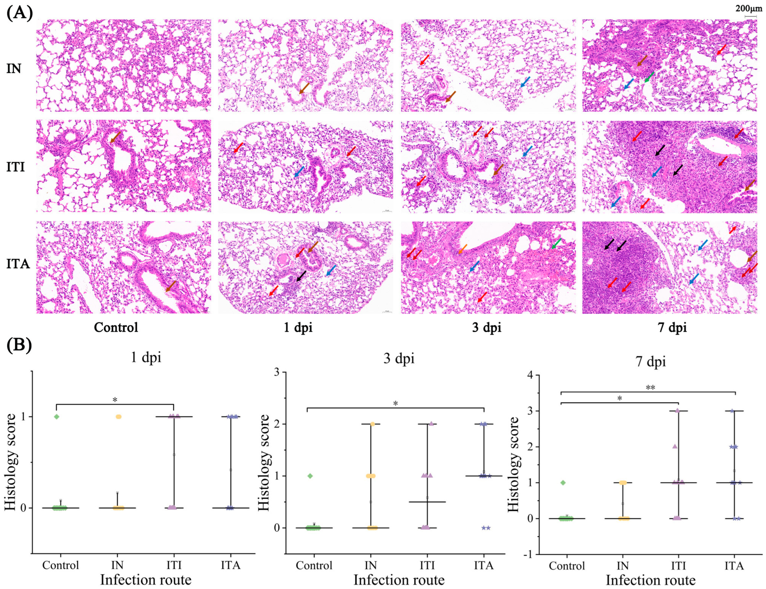 Biomolecules 15 00950 g004