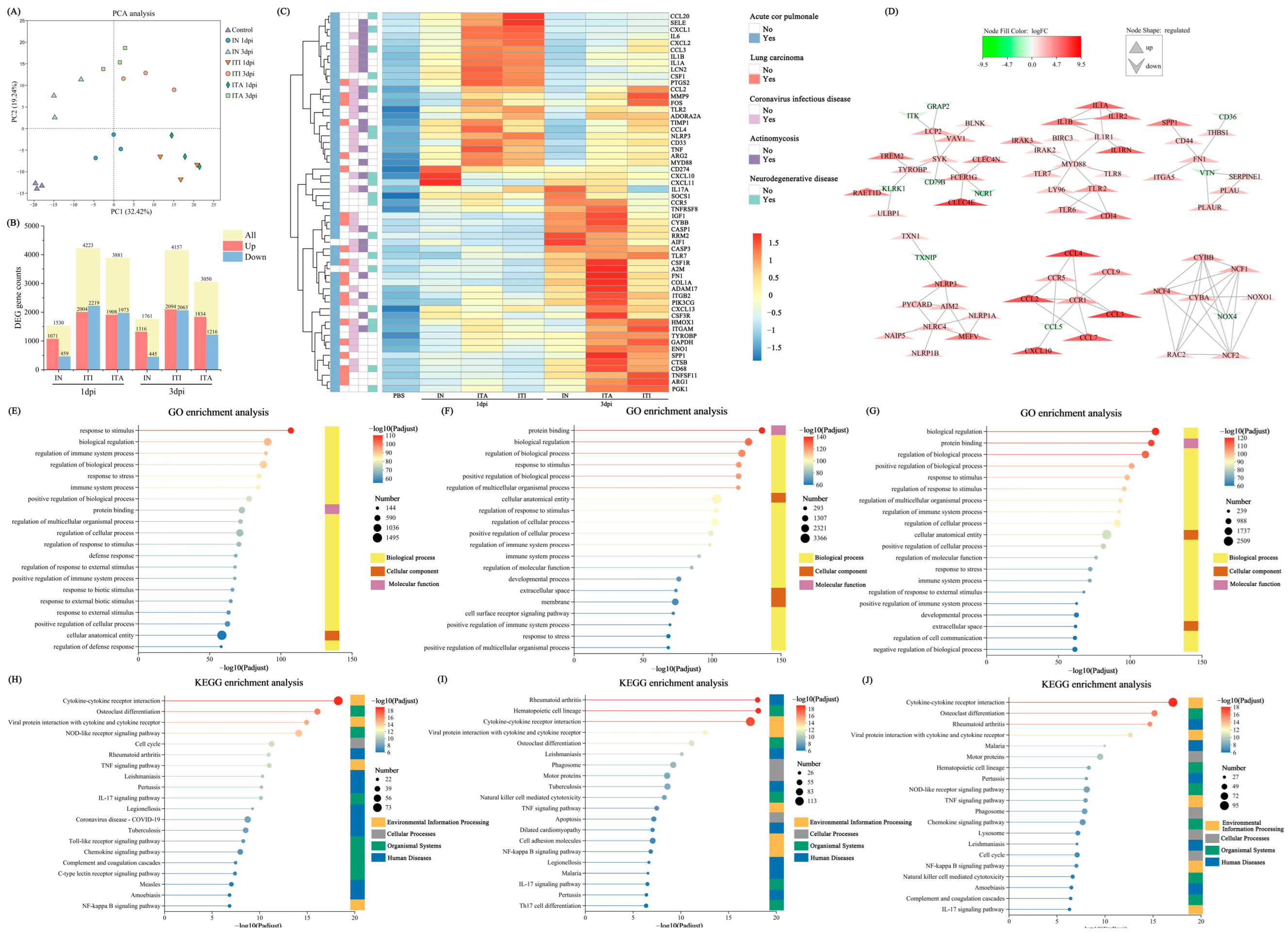 Biomolecules 15 00950 g005
