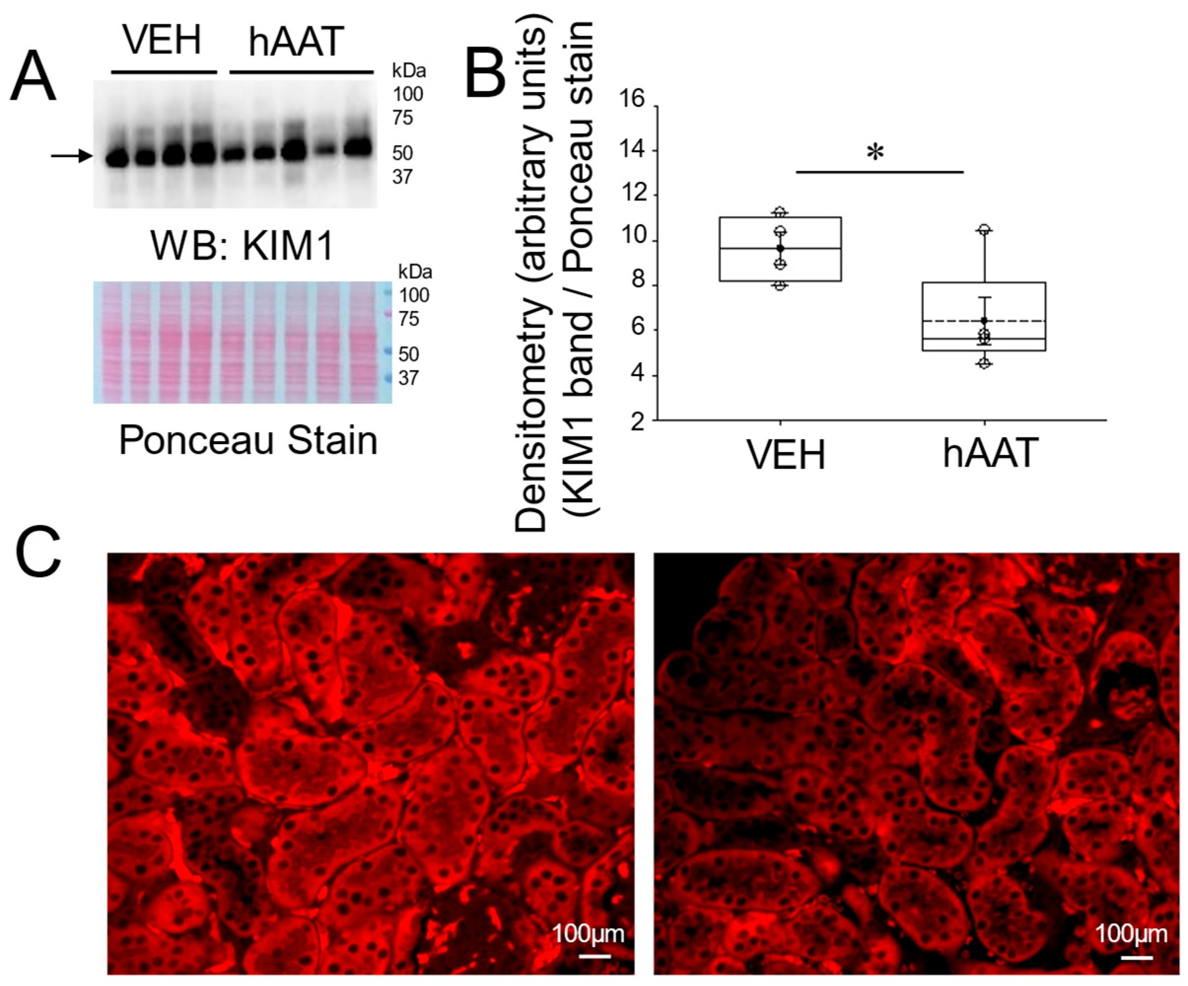 Biomolecules 15 00951 g001
