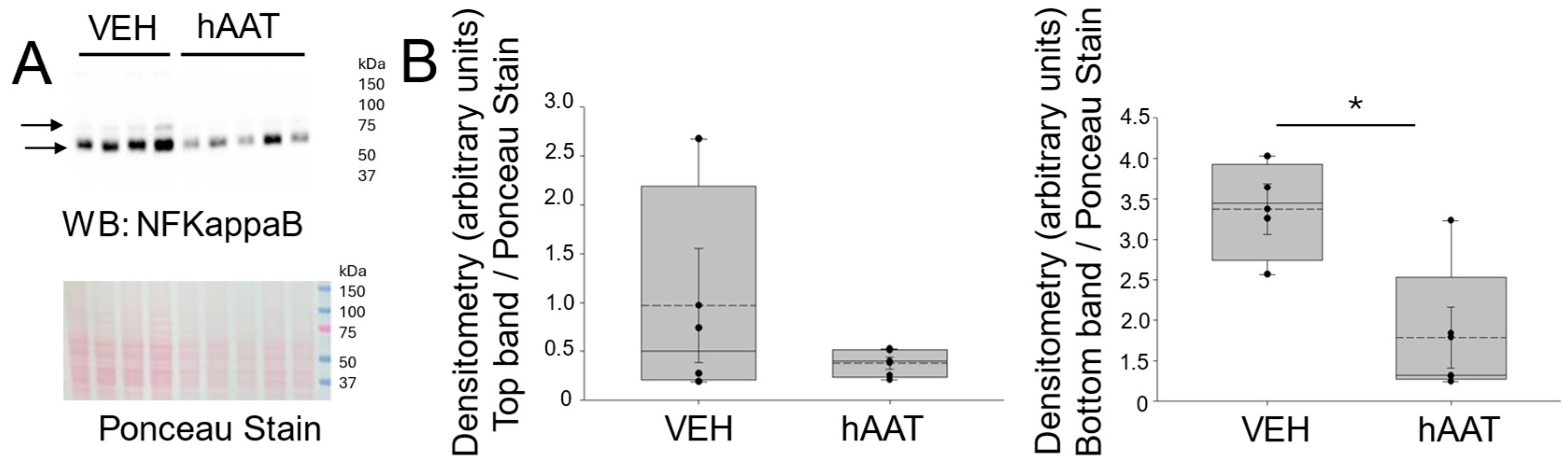 Biomolecules 15 00951 g003