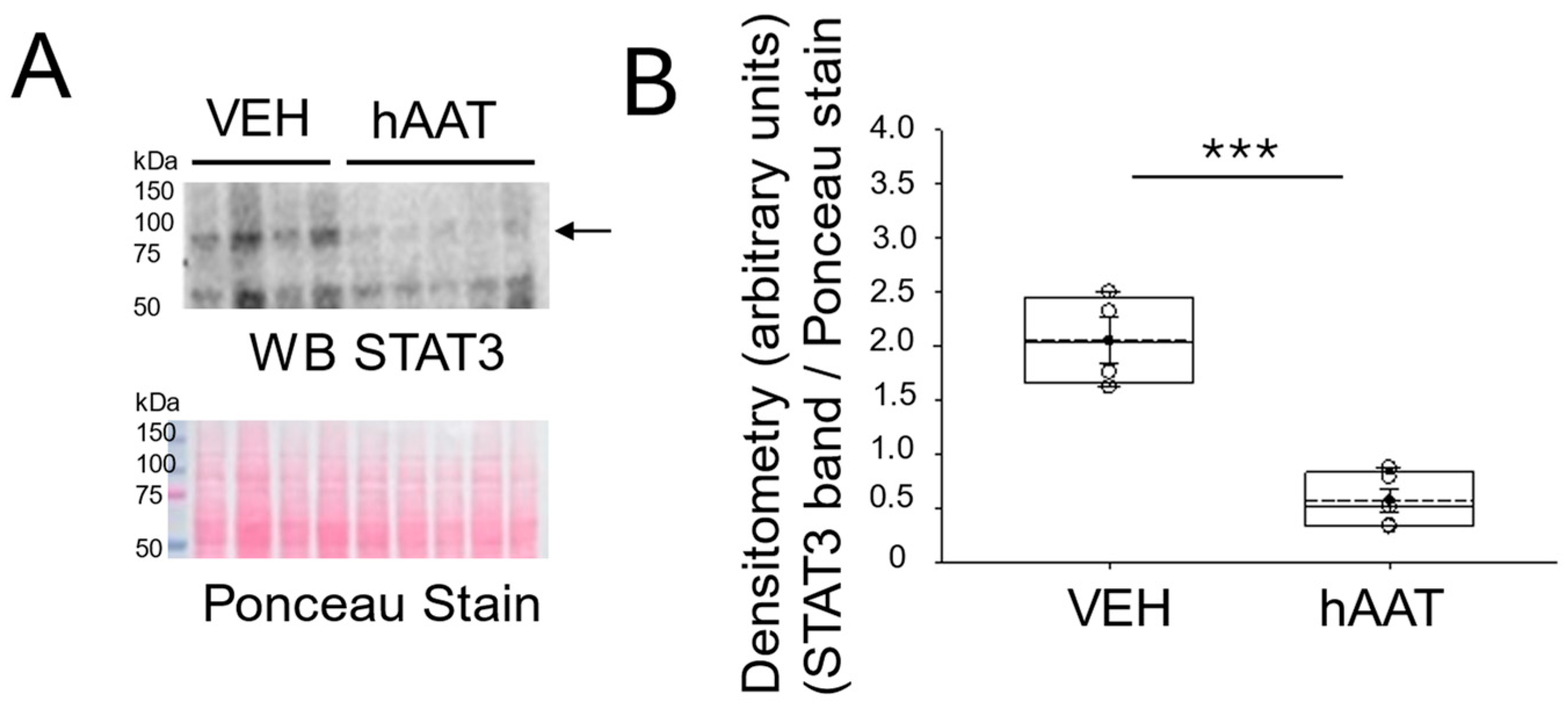Biomolecules 15 00951 g004