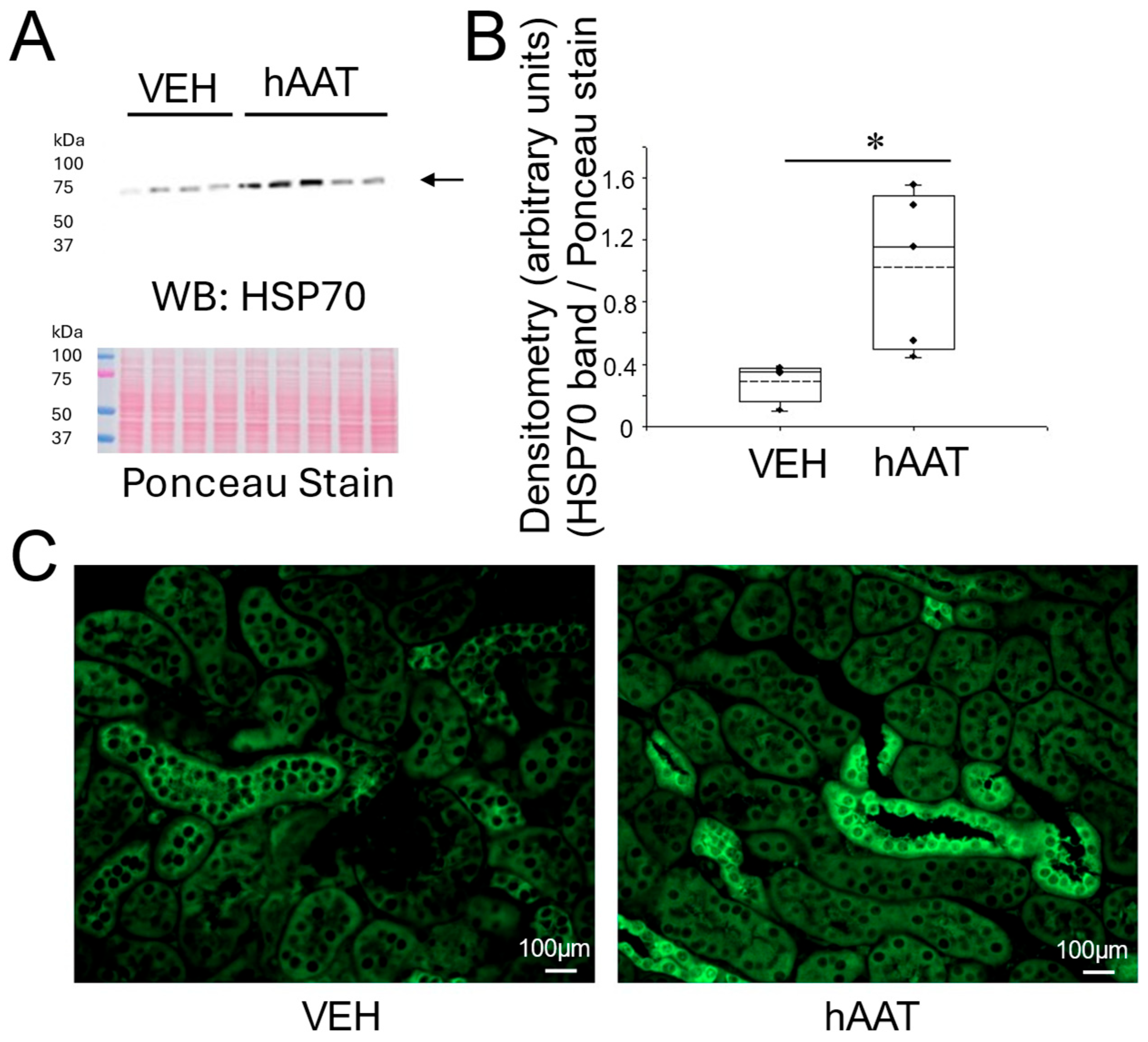 Biomolecules 15 00951 g006