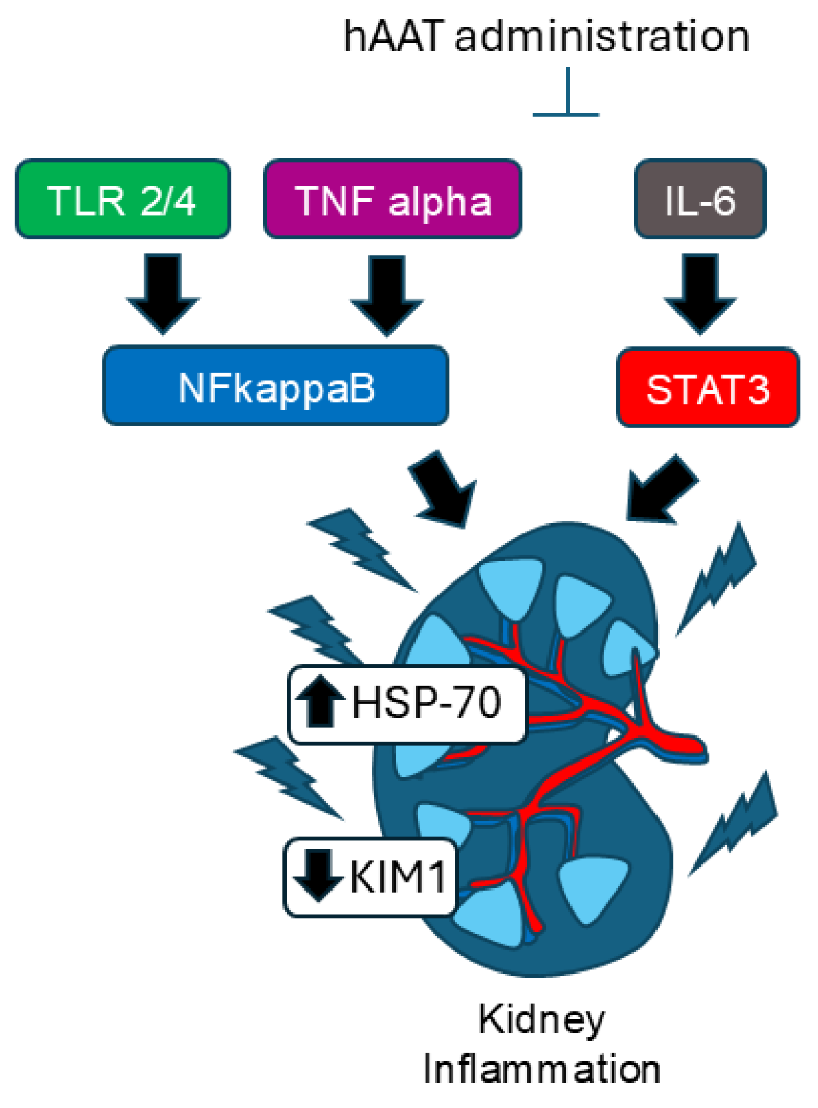 Biomolecules 15 00951 g008