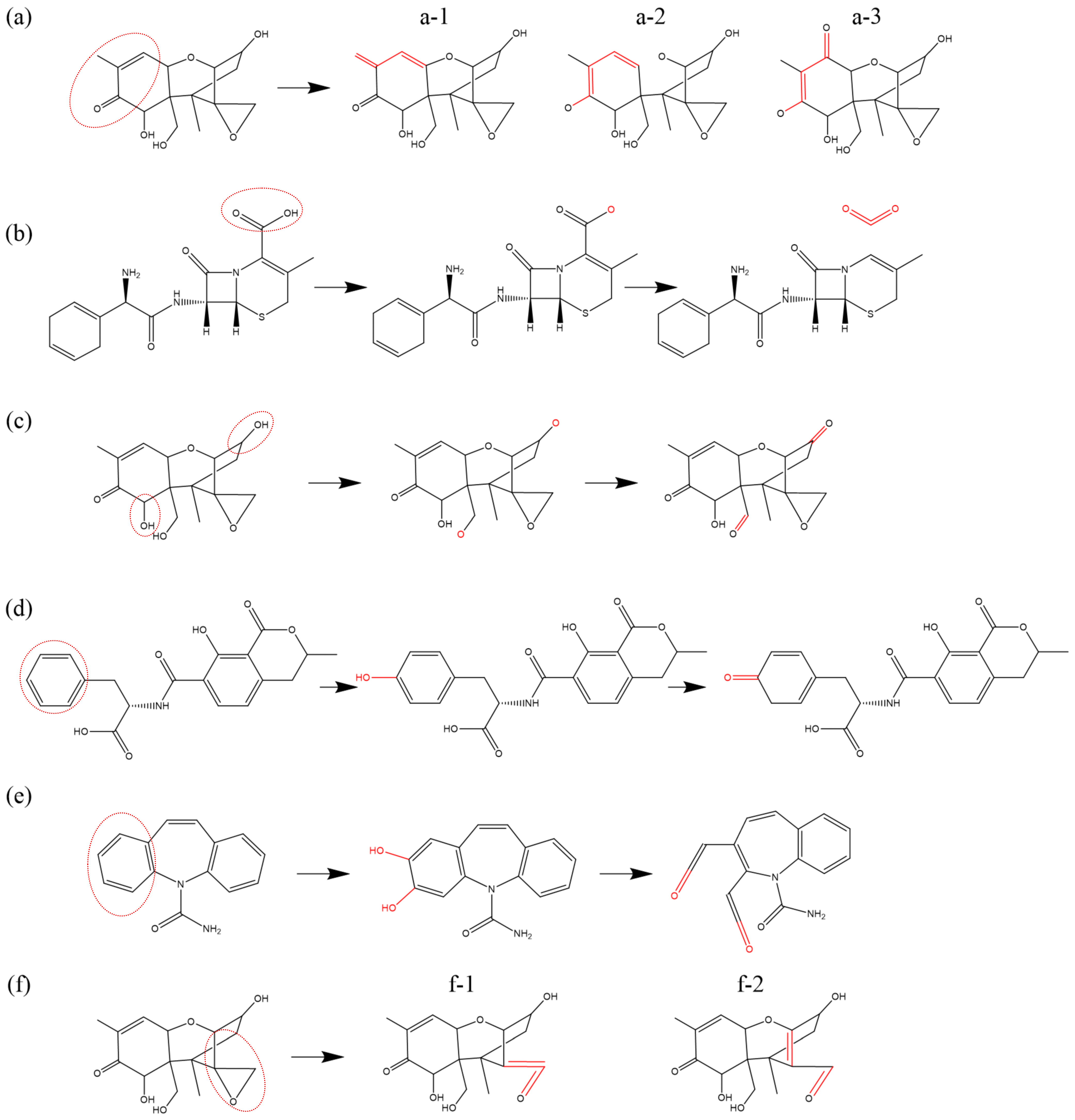 Biomolecules 15 00952 g006