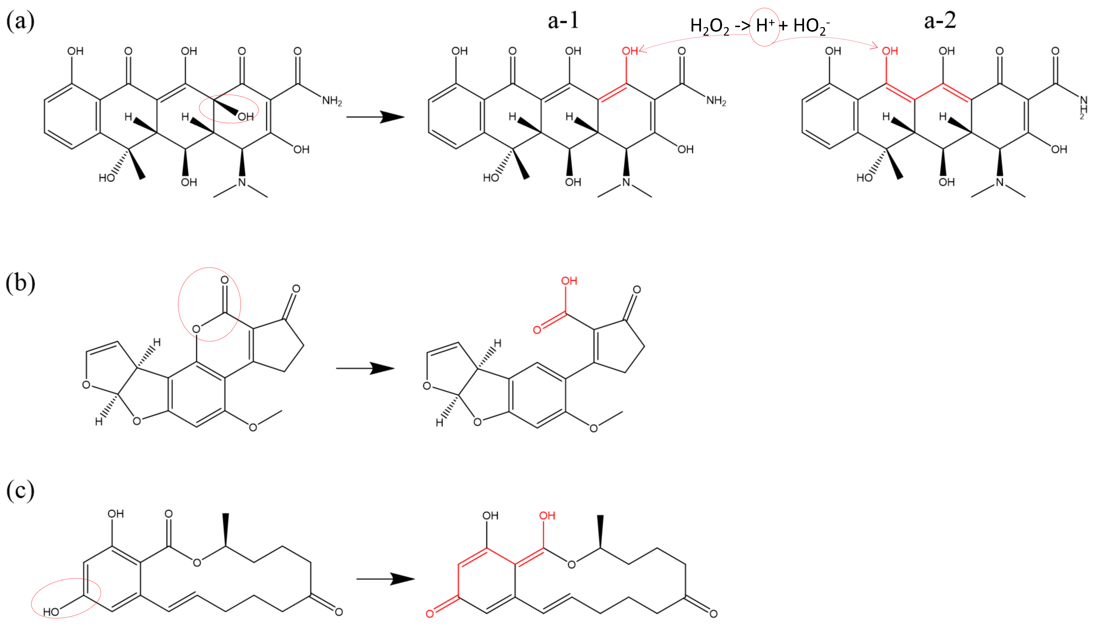 Biomolecules 15 00952 g007