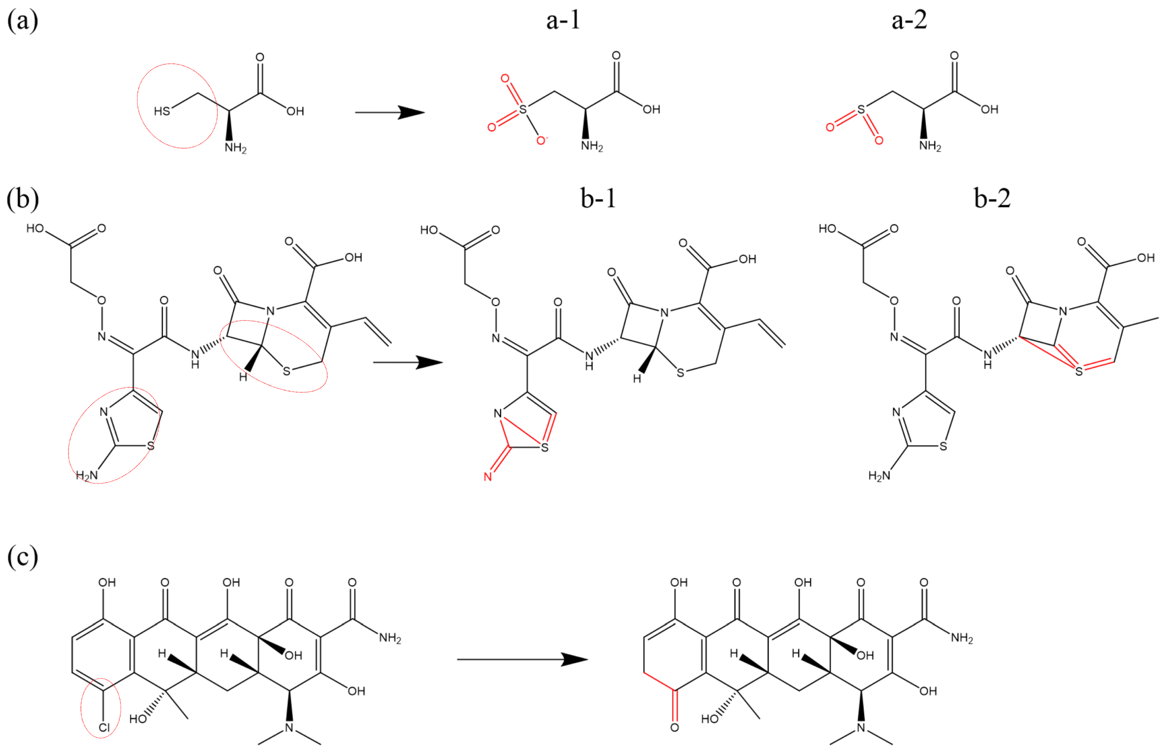 Biomolecules 15 00952 g008