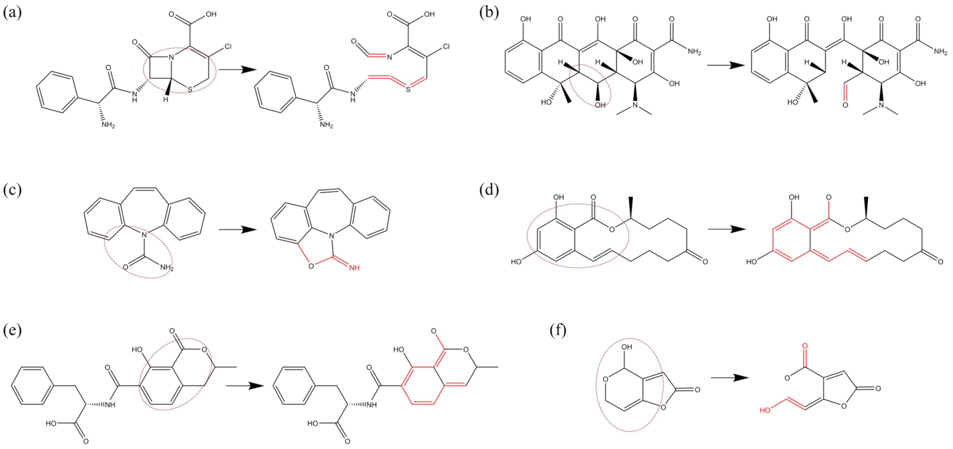 Biomolecules 15 00952 g010