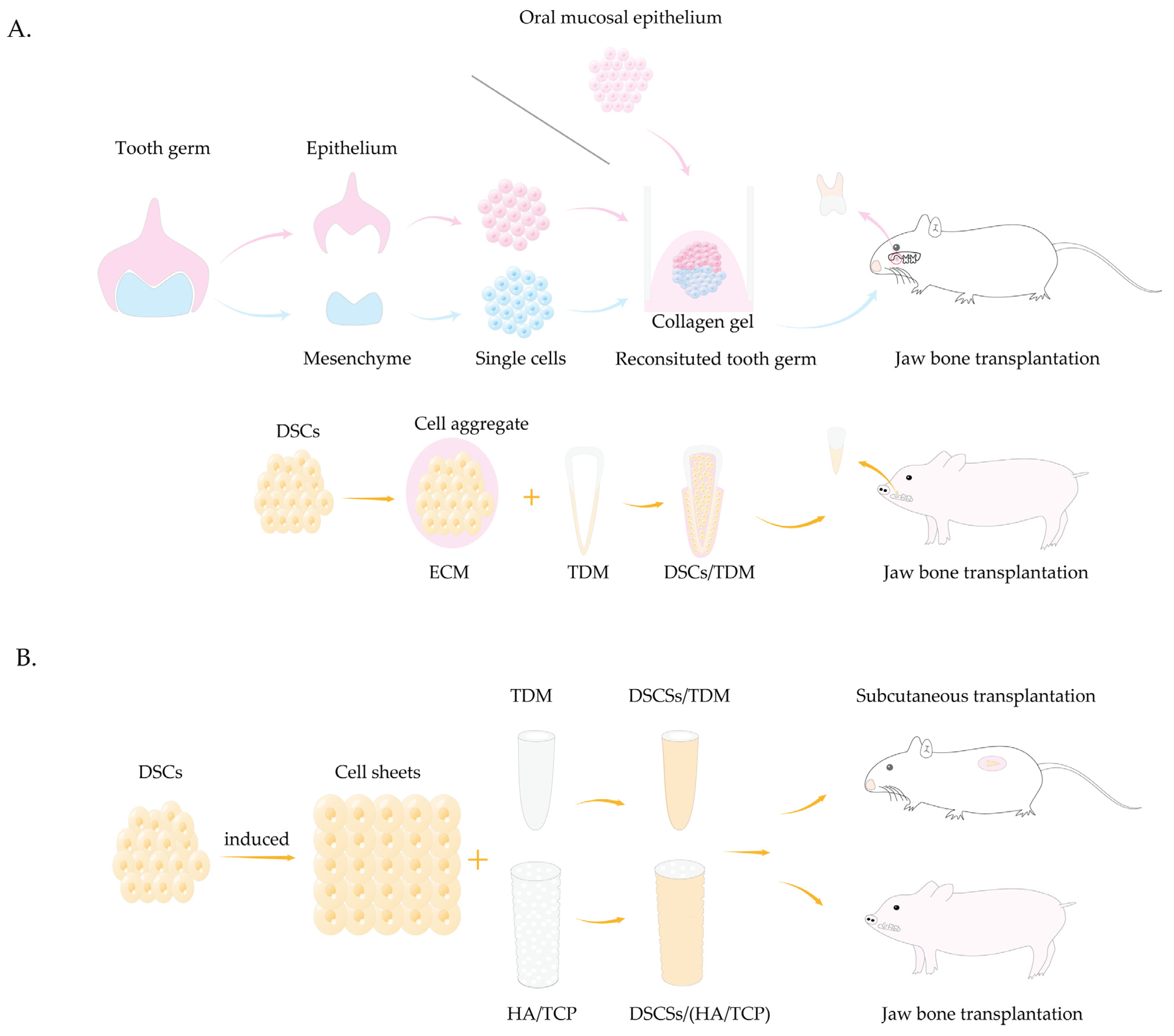 Biomolecules 15 00953 g003