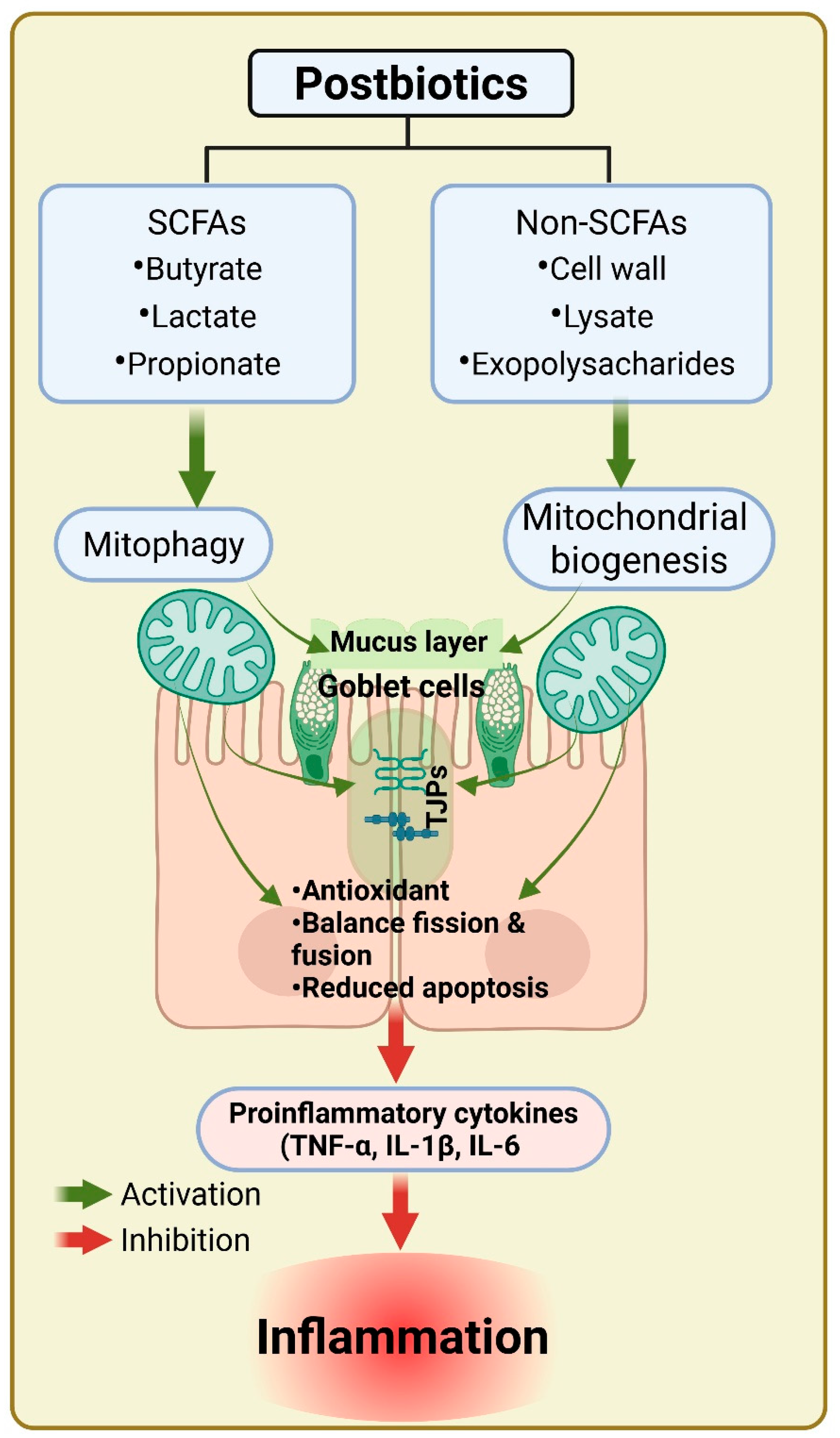 Biomolecules 15 00954 g002